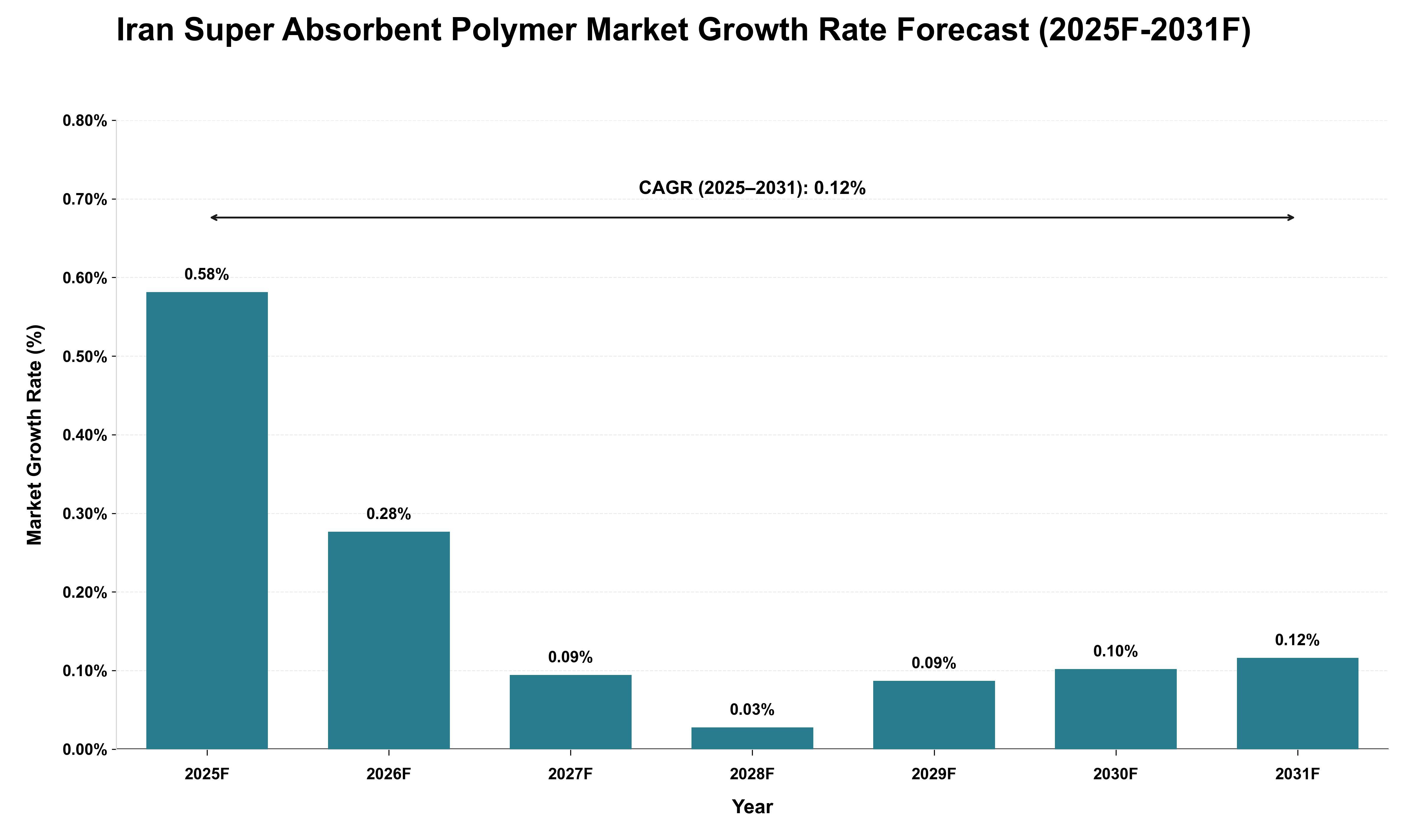 Iran Super Absorbent Polymer Market Growth Rate Analysis (2025 - 2031)