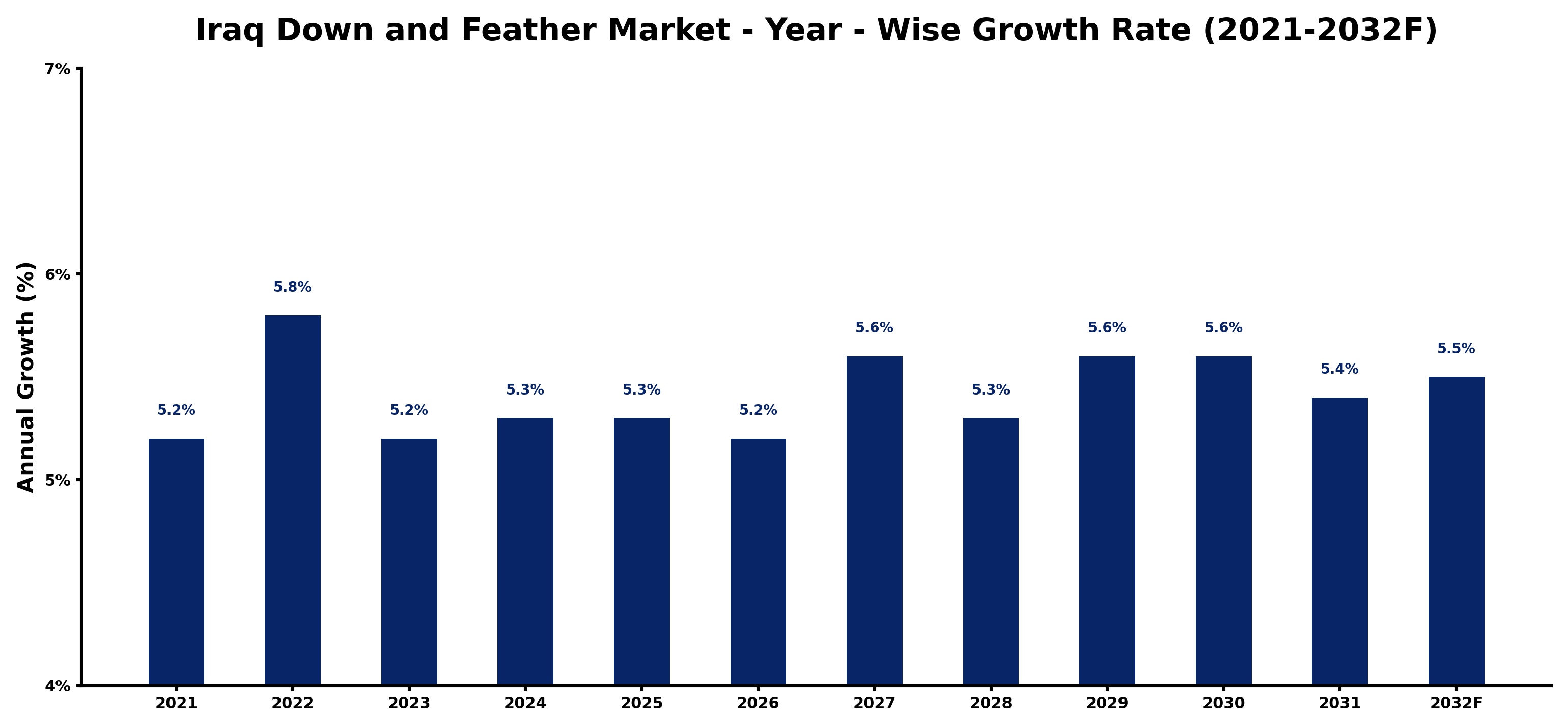 Iraq Down and Feather Market Year-wise Growth Rate and Key Drivers