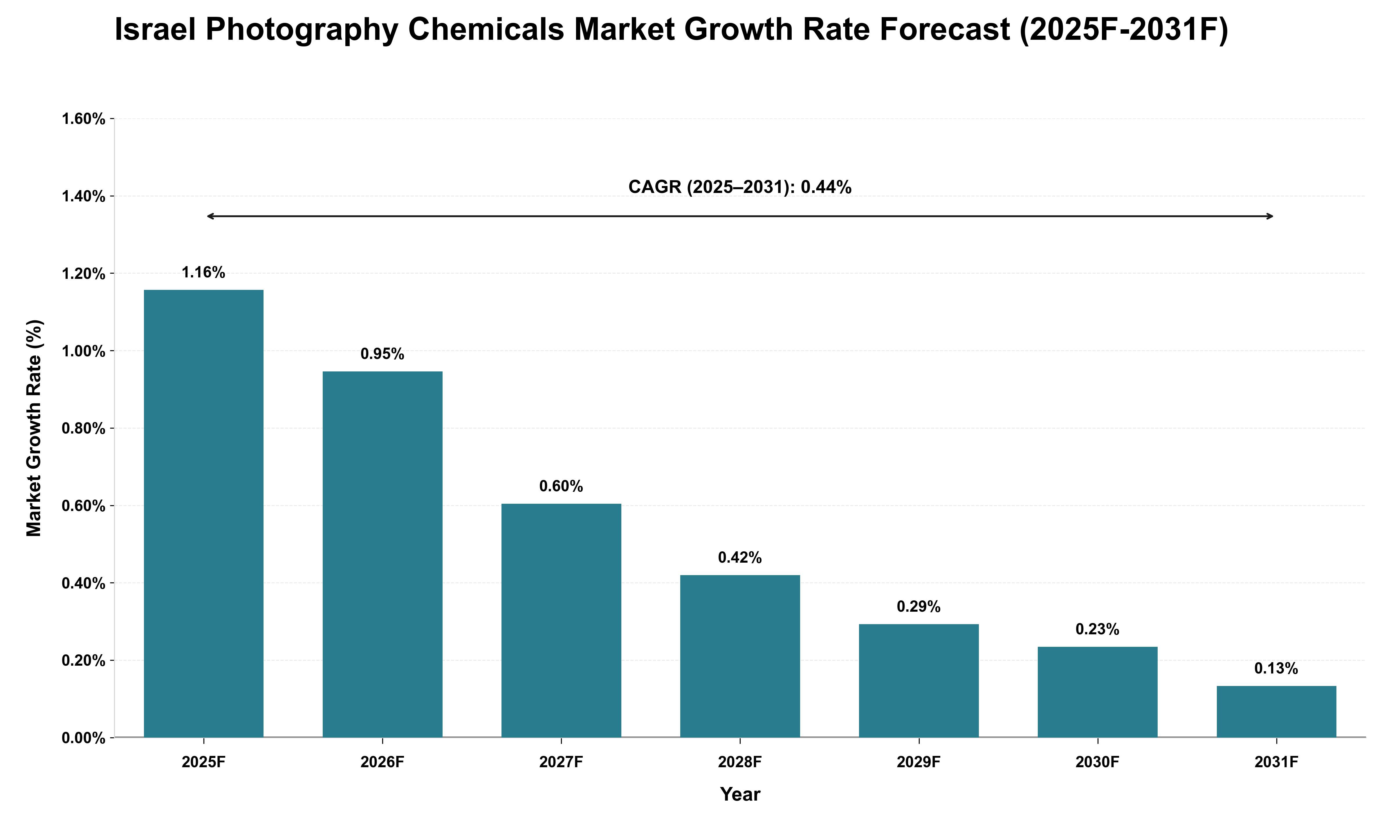 Israel Photography Chemicals Market Growth Rate Analysis (2025 - 2031)