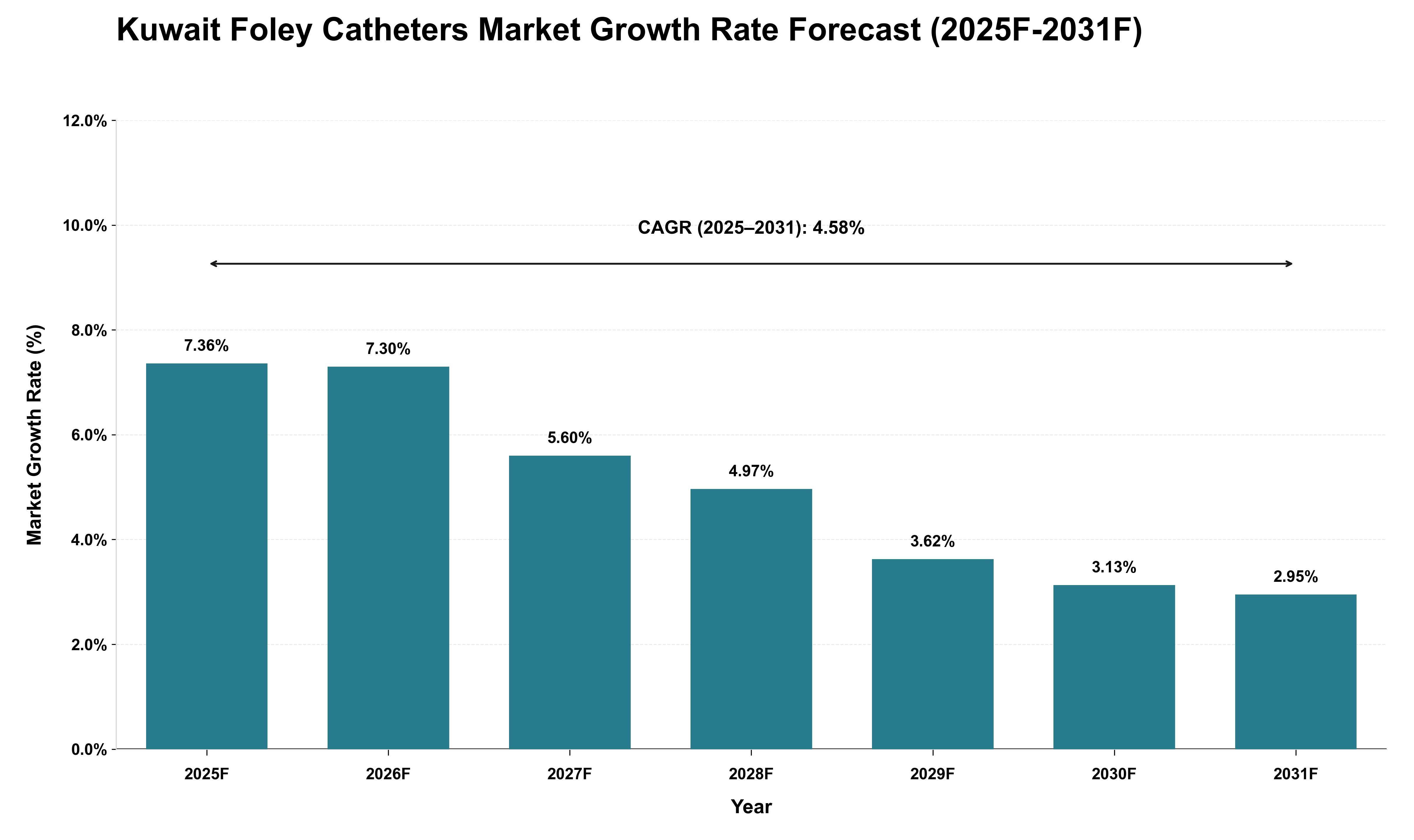 Kuwait Foley Catheters Market Growth Rate Analysis (2025 - 2031)