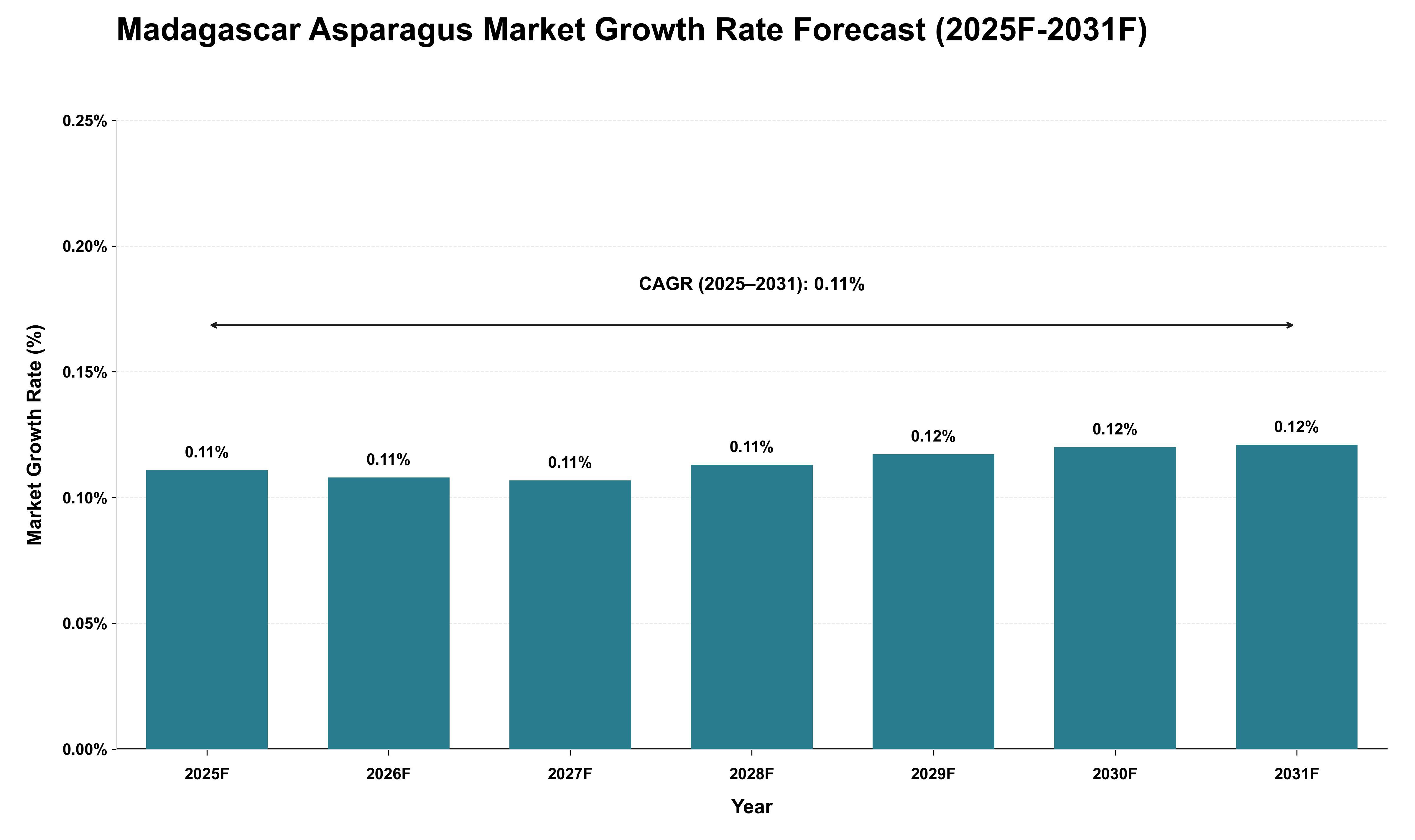 Madagascar Asparagus Market Growth Rate Analysis (2025 - 2031)