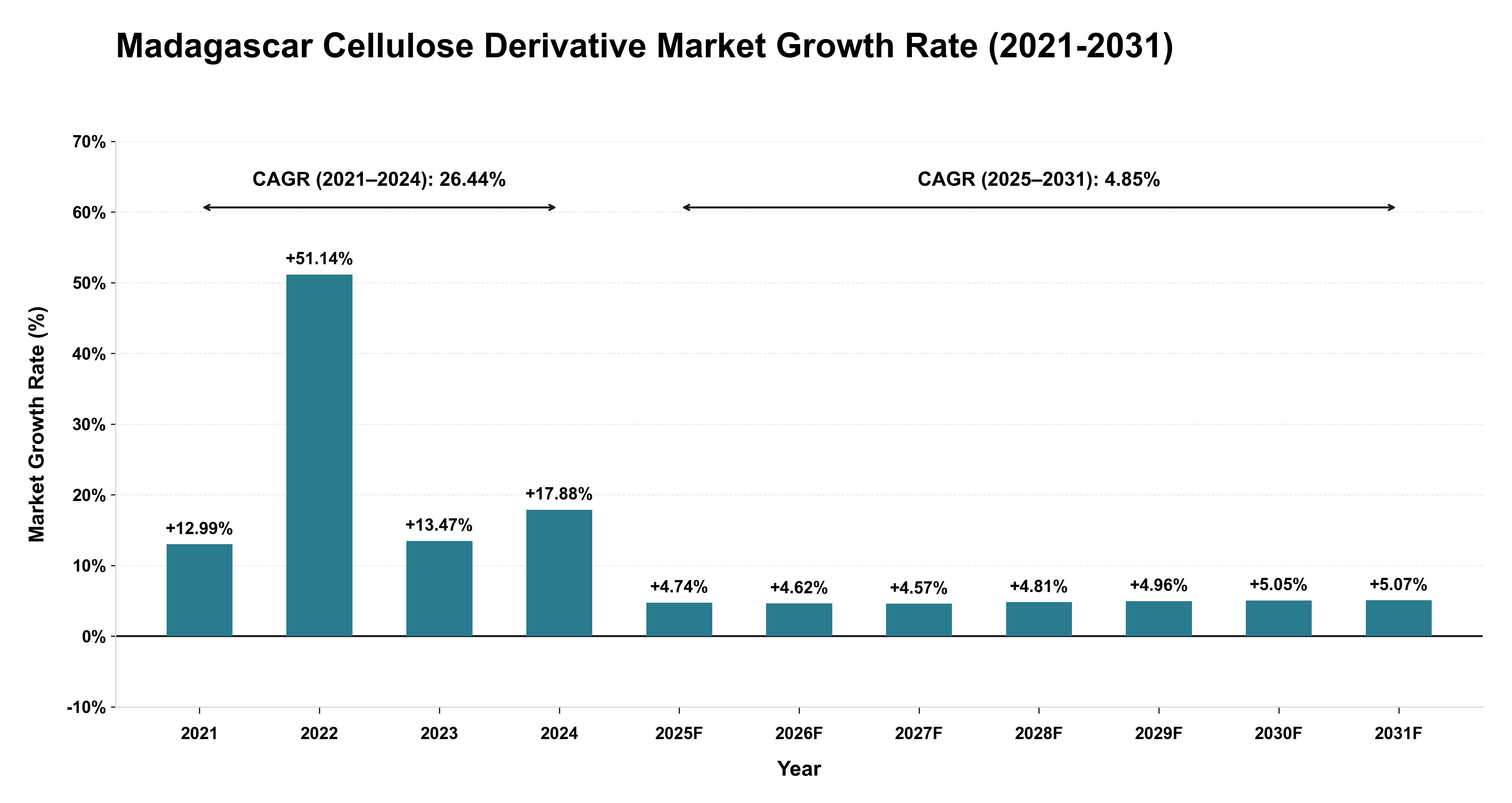 Madagascar Cellulose Derivative Market Growth Rate Analysis (2021-2031)