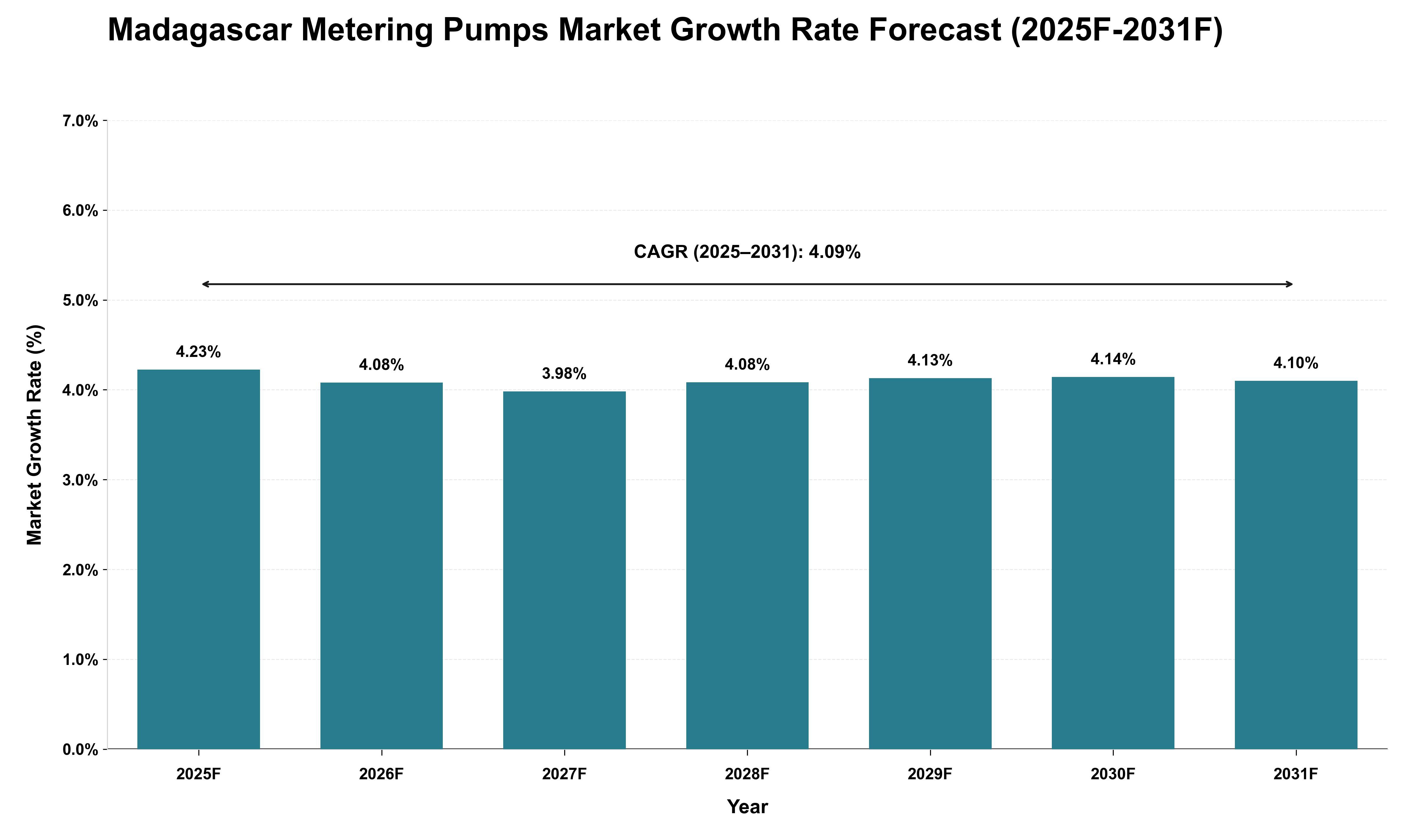 Madagascar Metering Pumps Market Growth Rate Analysis (2025 - 2031)