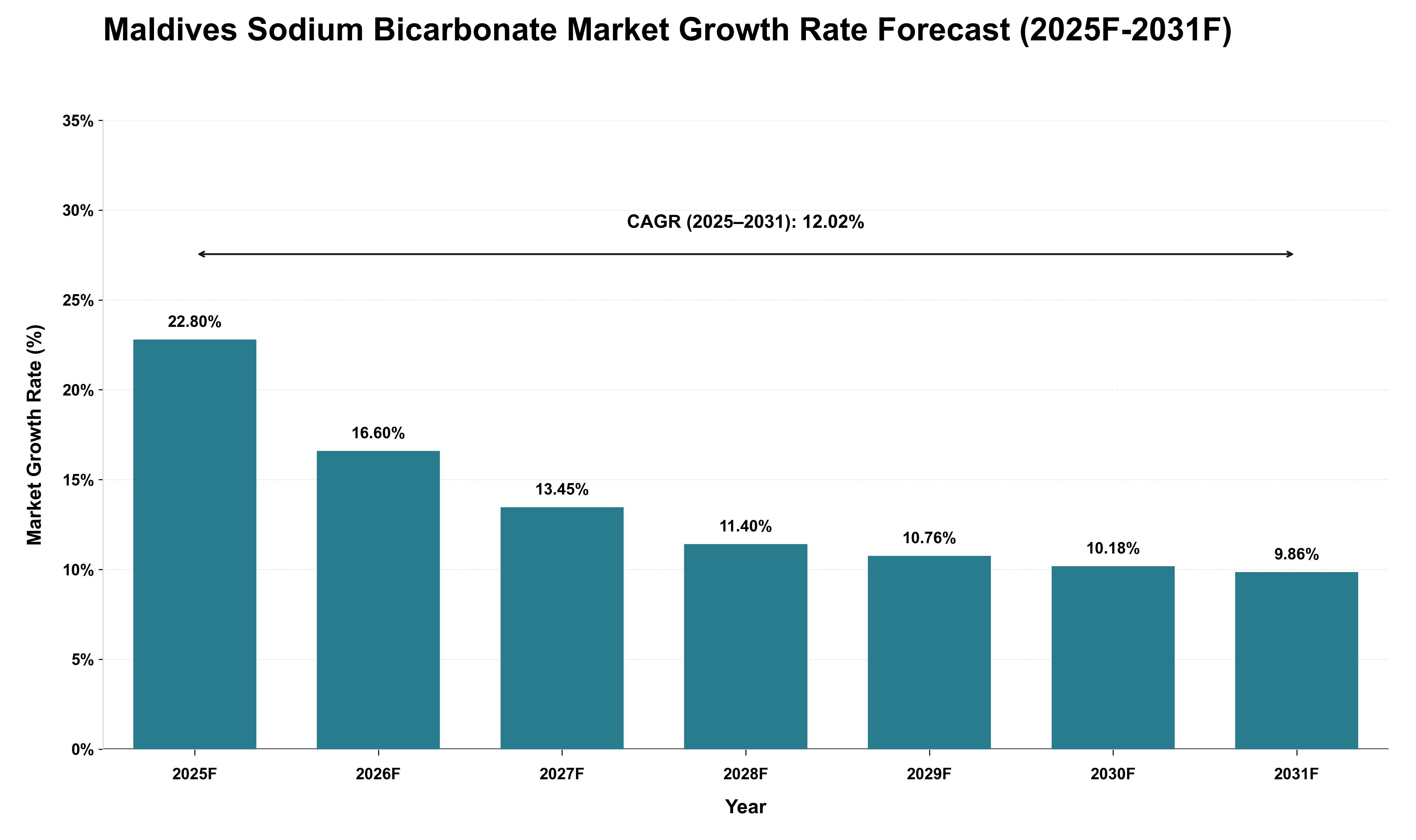 Maldives Sodium Bicarbonate Market Growth Rate Analysis (2025 - 2031)
