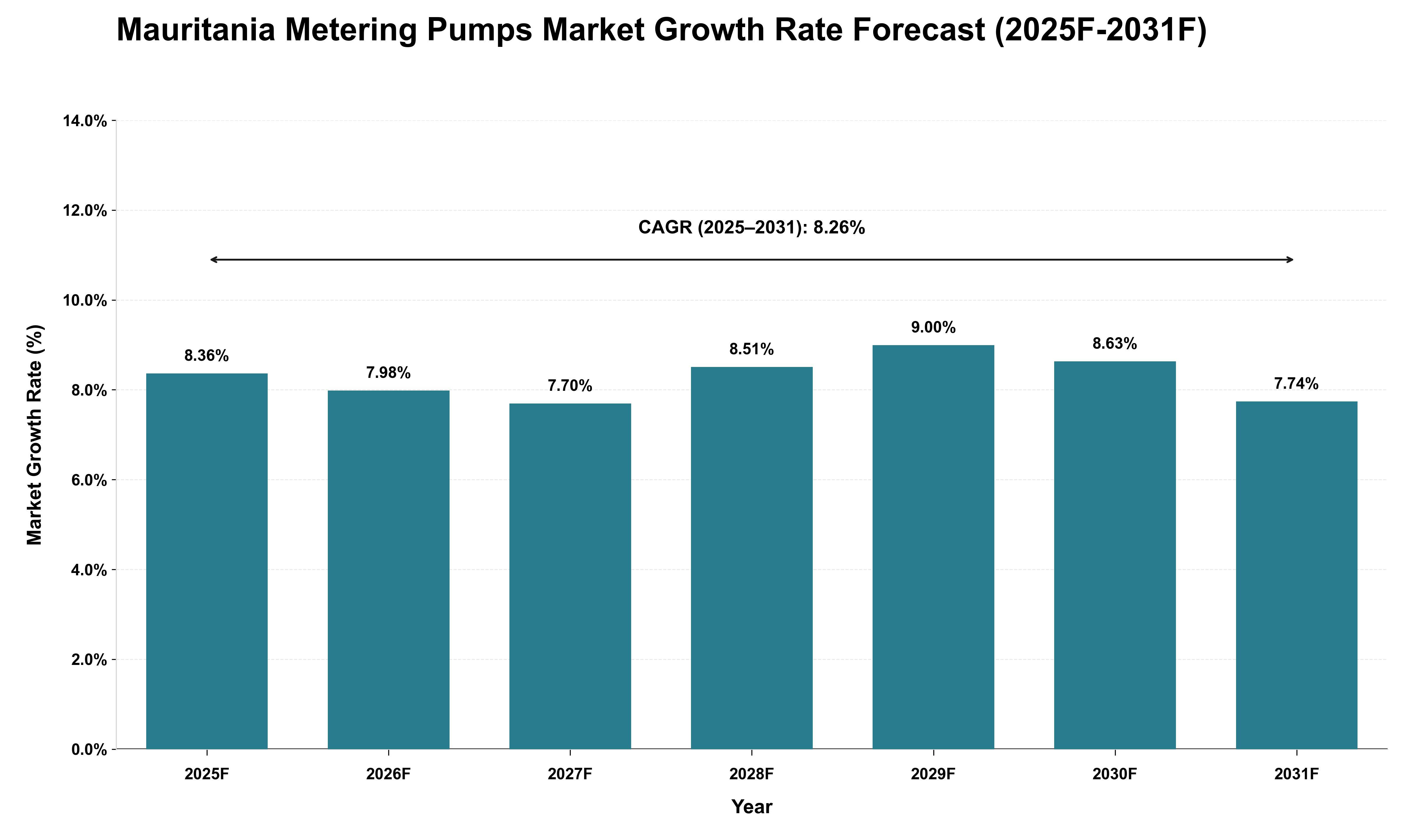 Mauritania Metering Pumps Market Growth Rate Analysis (2025 - 2031)