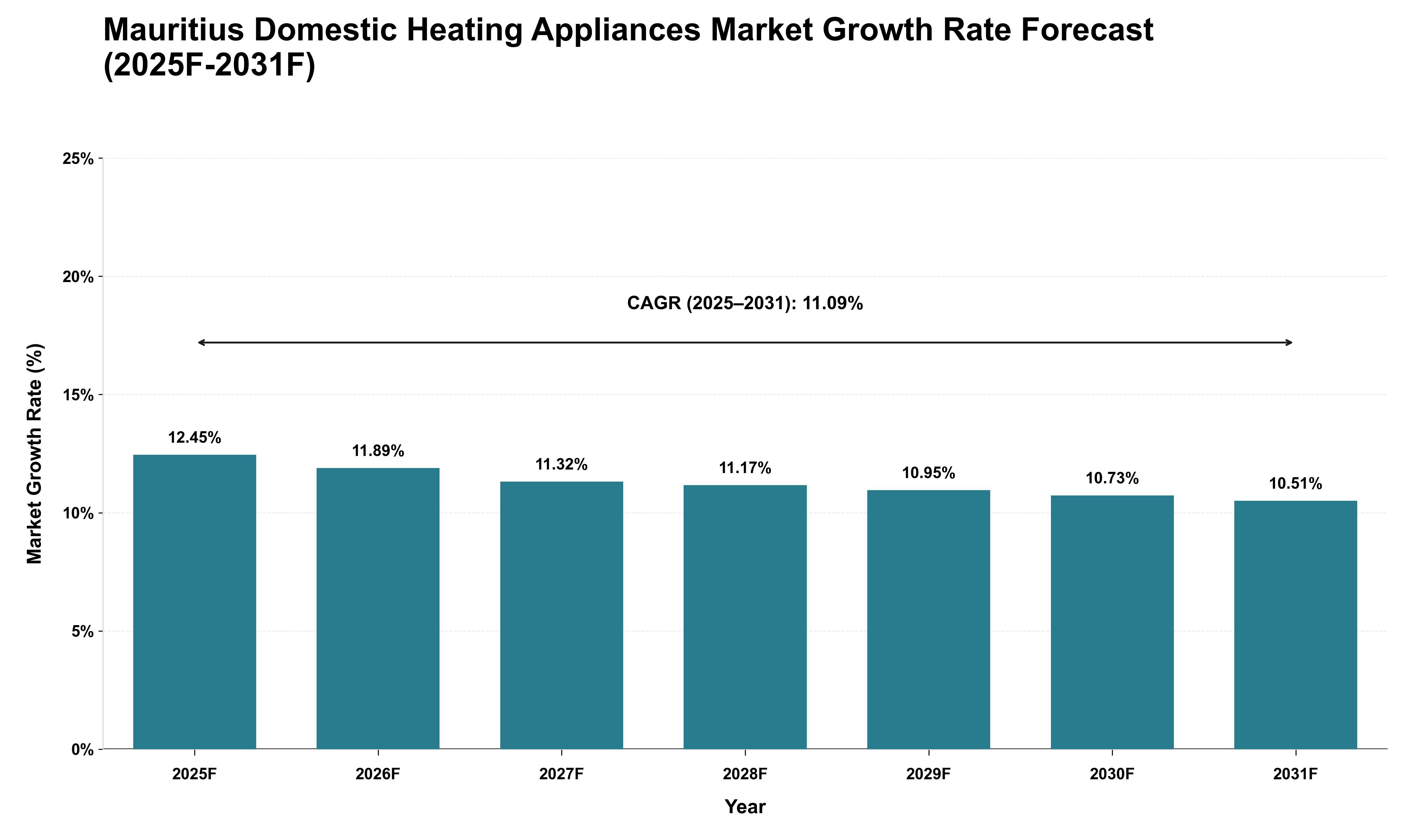 Mauritius Domestic Heating Appliances Market Growth Rate Analysis (2025 - 2031)