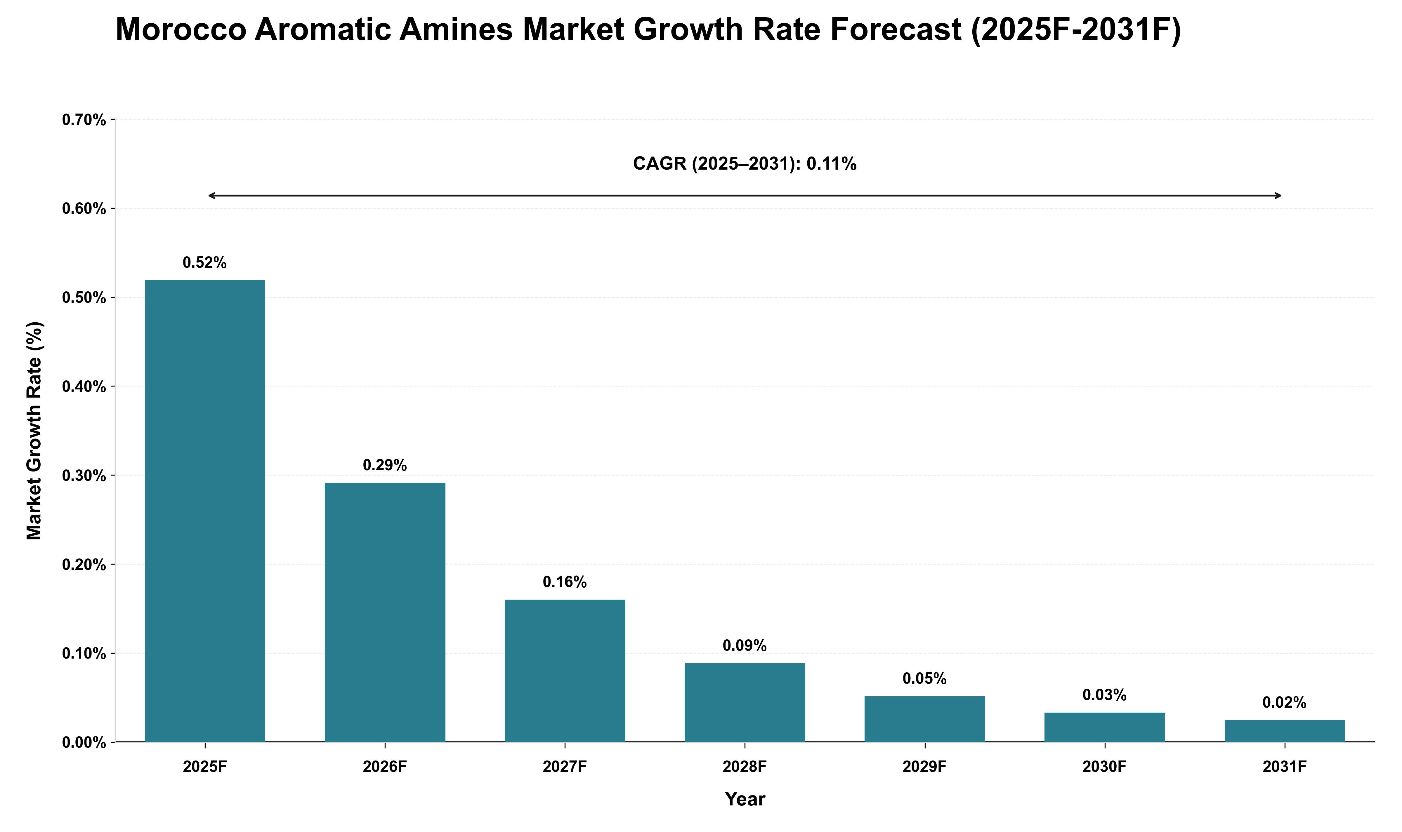 Morocco Aromatic Amines Market Growth Rate Analysis (2025 - 2031)
