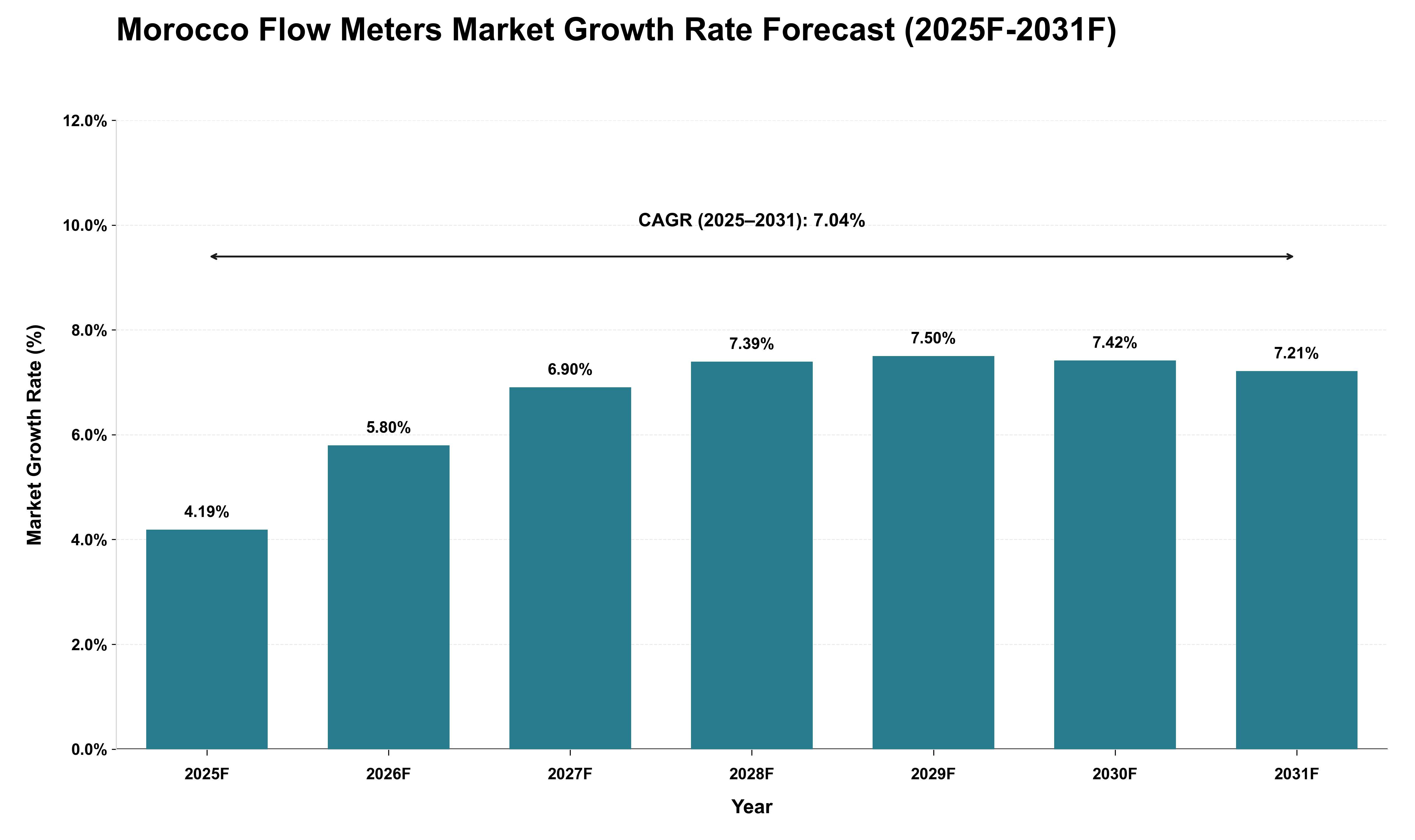 Morocco Flow Meters Market Growth Rate Analysis (2025 - 2031)