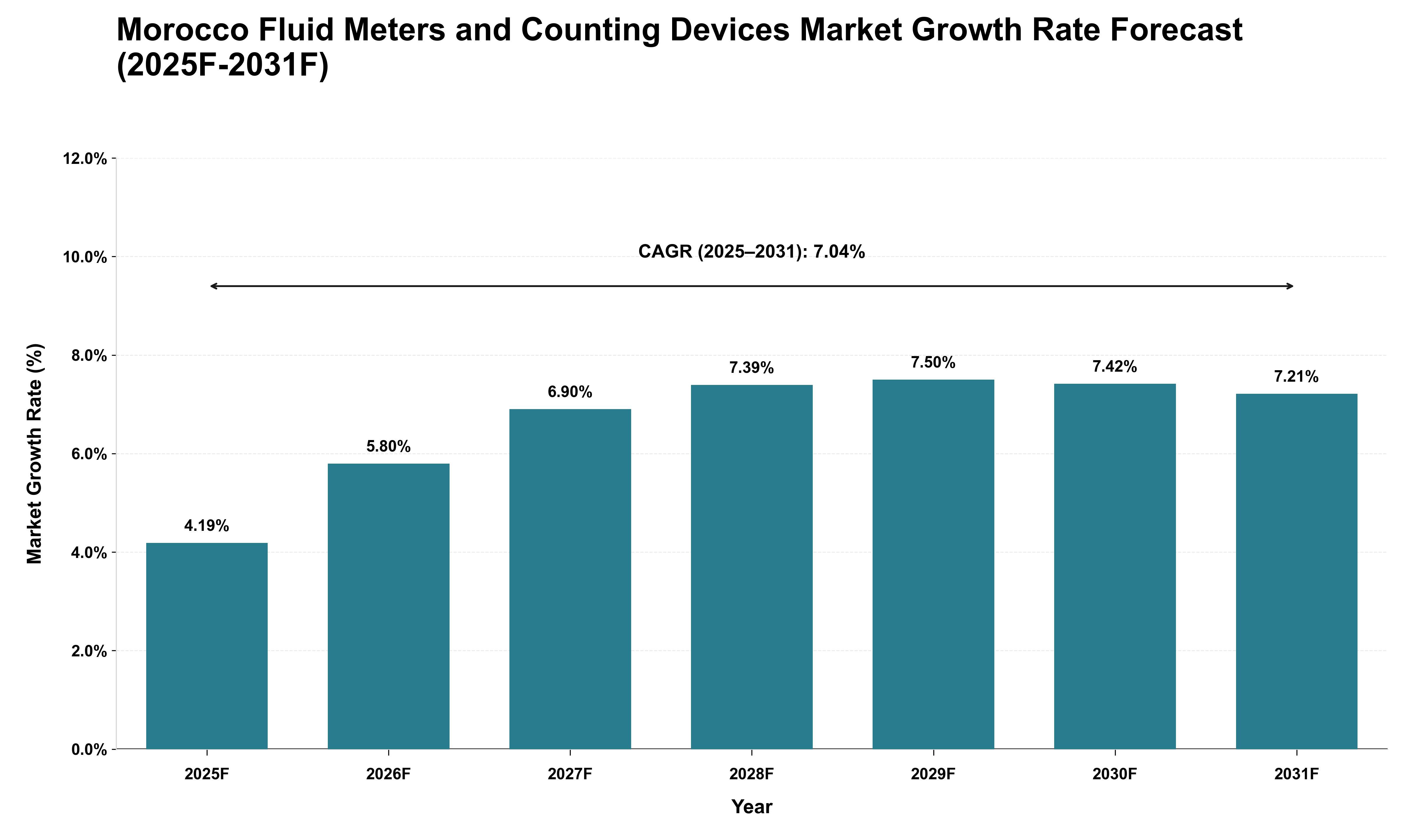 Morocco Fluid Meters and Counting Devices Market Growth Rate Analysis (2025 - 2031)