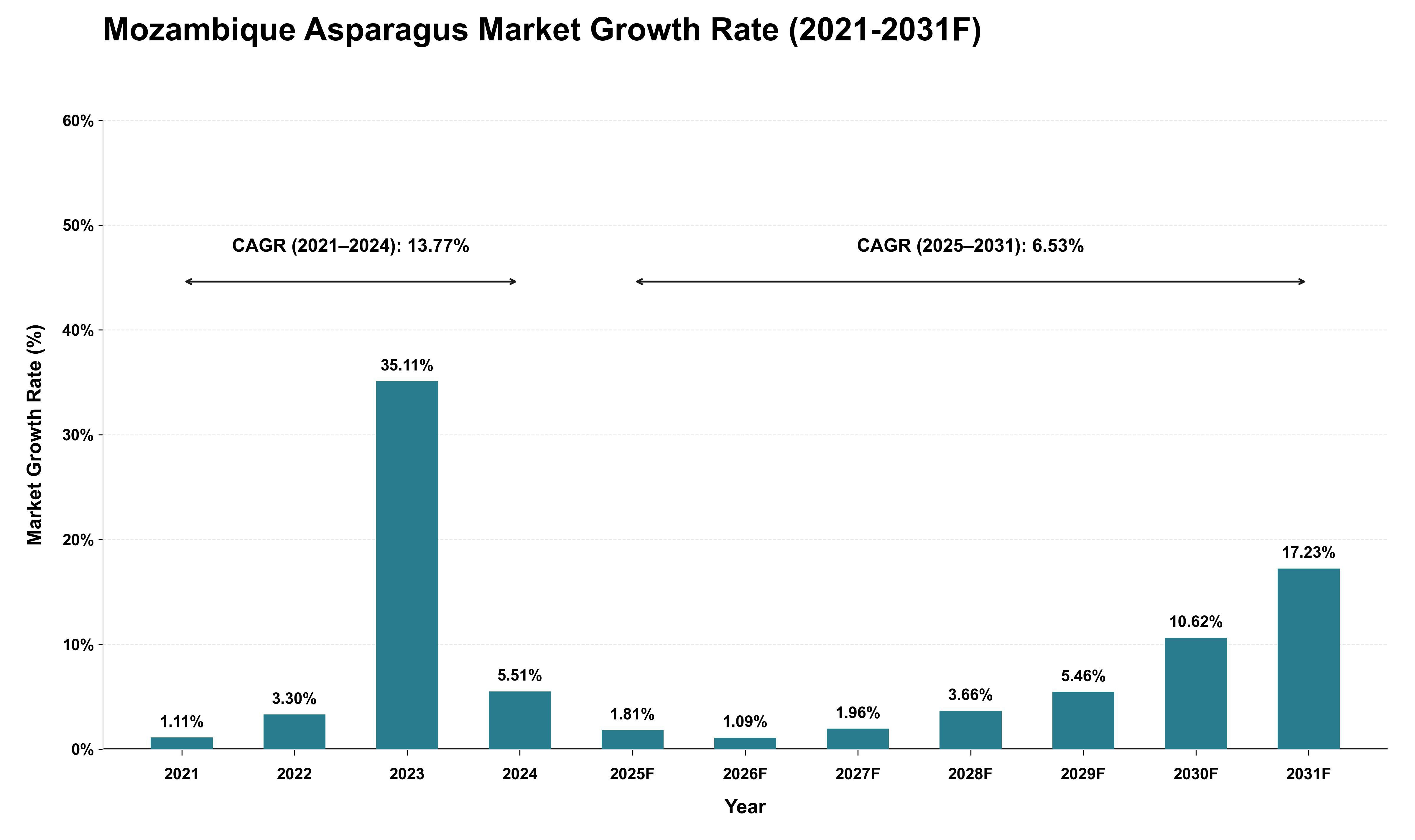 Mozambique Asparagus Market Growth Rate Analysis (2021 - 2031)