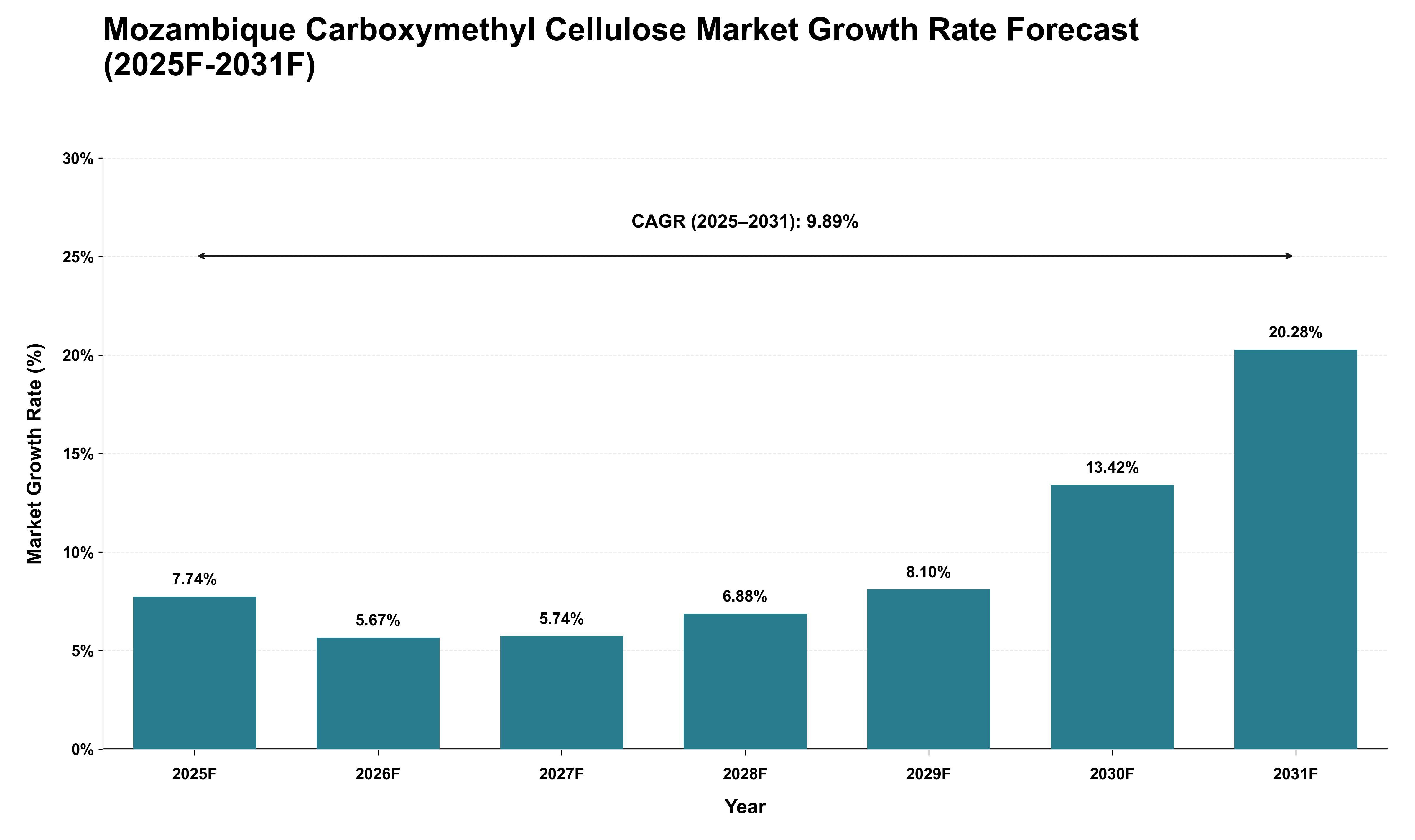 Mozambique Carboxymethyl Cellulose Market Growth Rate Analysis (2025 - 2031)