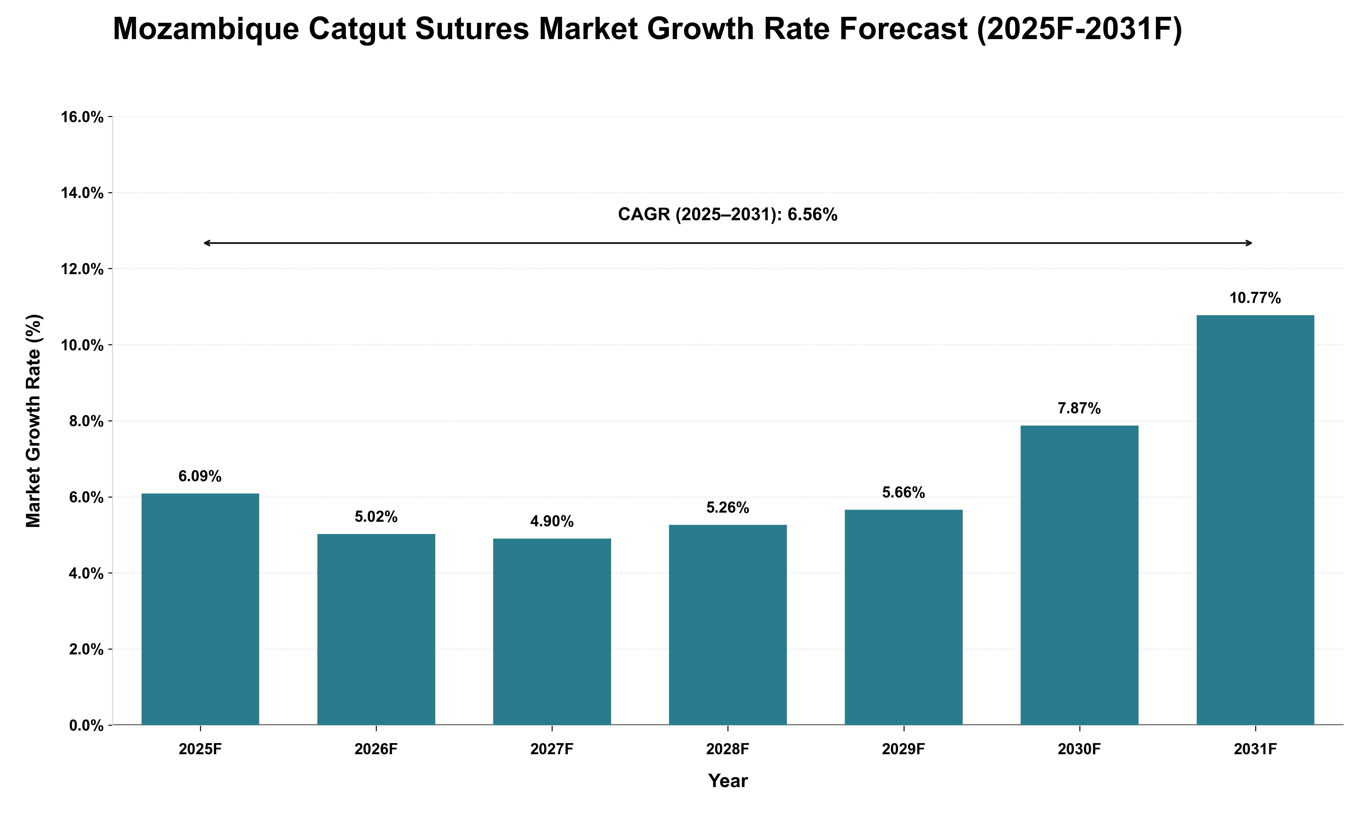 Mozambique Catgut Sutures Market Growth Rate Analysis (2025 - 2031)