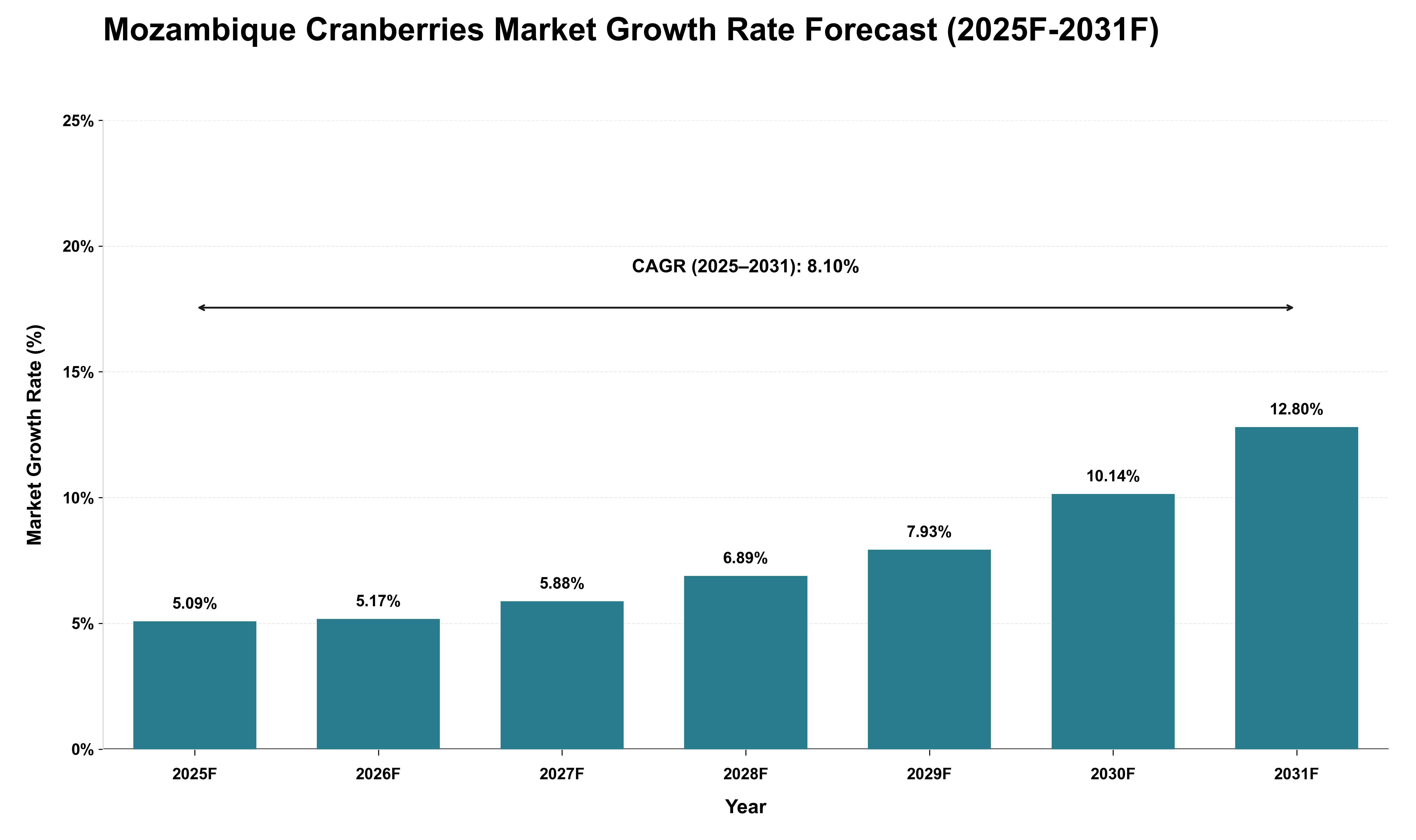 Mozambique Cranberries Market Growth Rate Analysis (2025 - 2031)