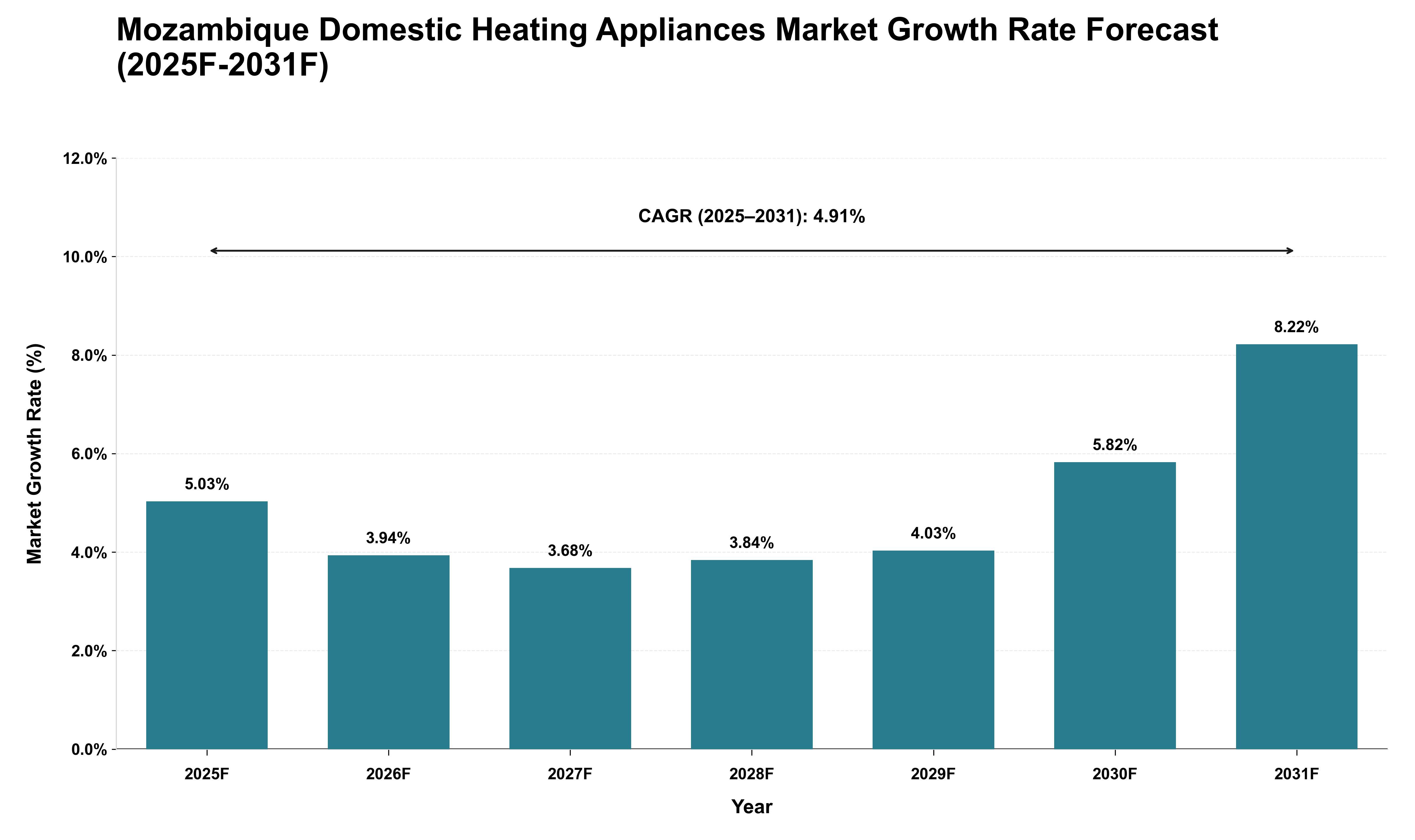Mozambique Domestic Heating Appliances Market Growth Rate Analysis (2025 - 2031)