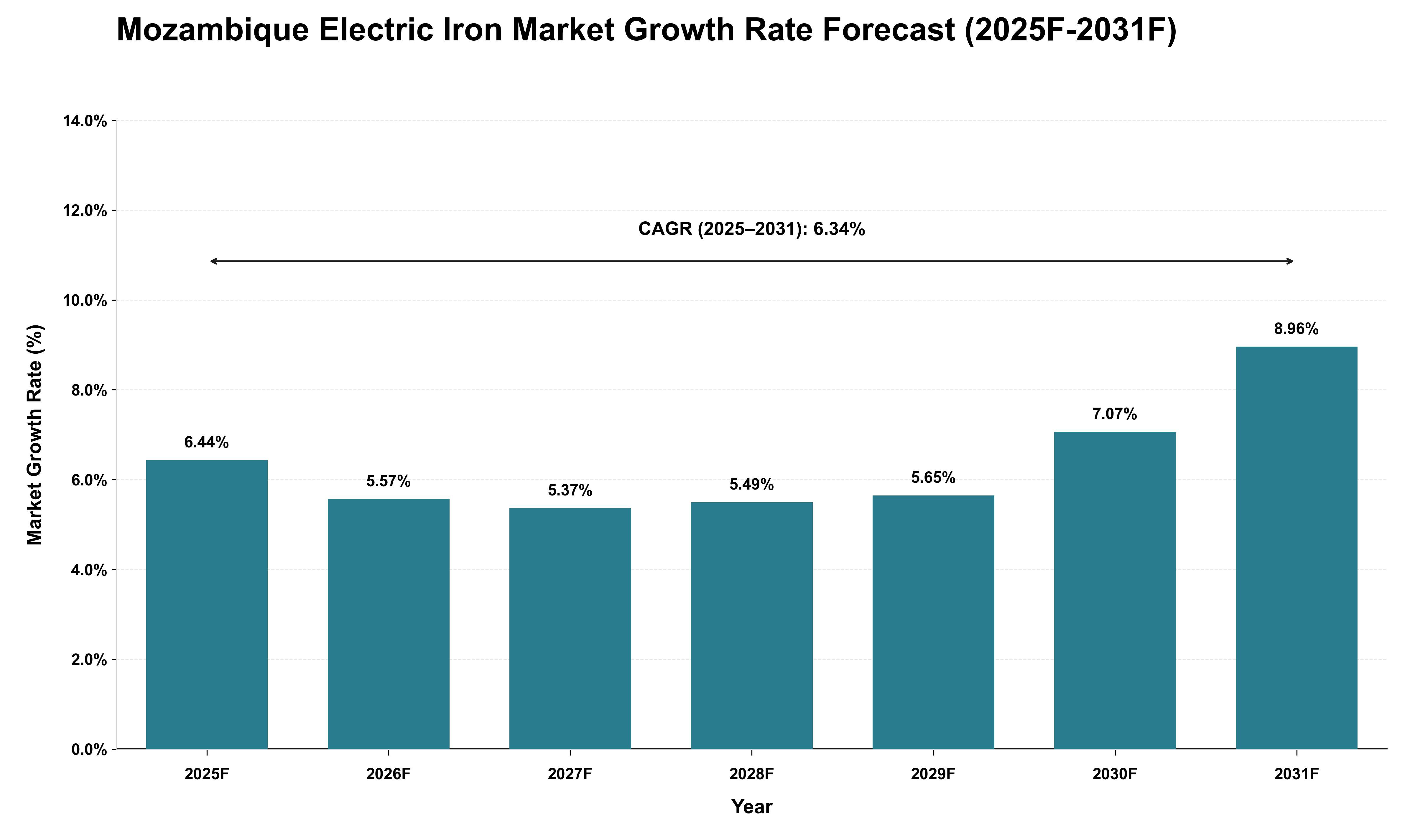 Mozambique Electric Iron Market Growth Rate Analysis (2025 - 2031)