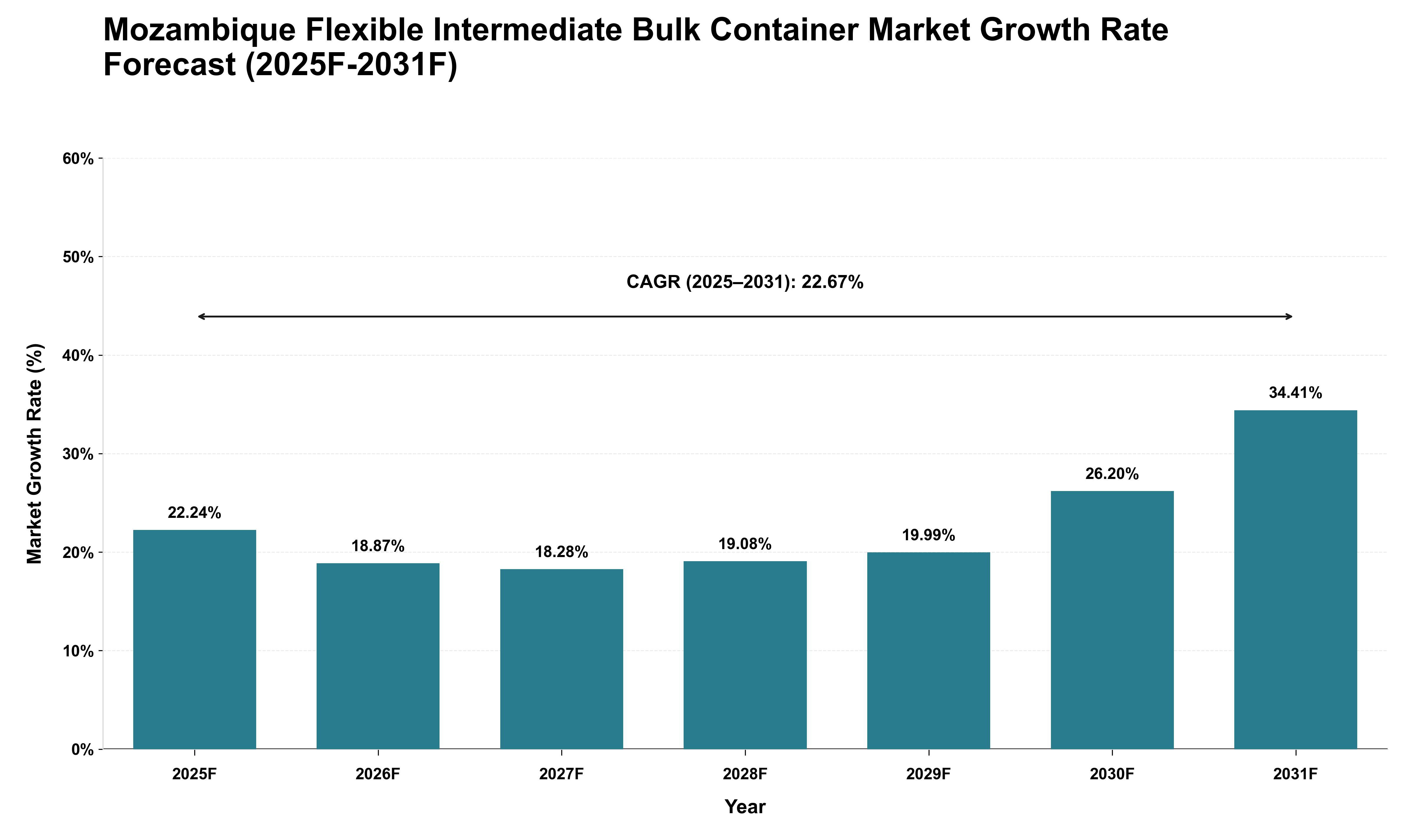 Mozambique Flexible Intermediate Bulk Container Market Growth Rate Analysis (2025 - 2031)