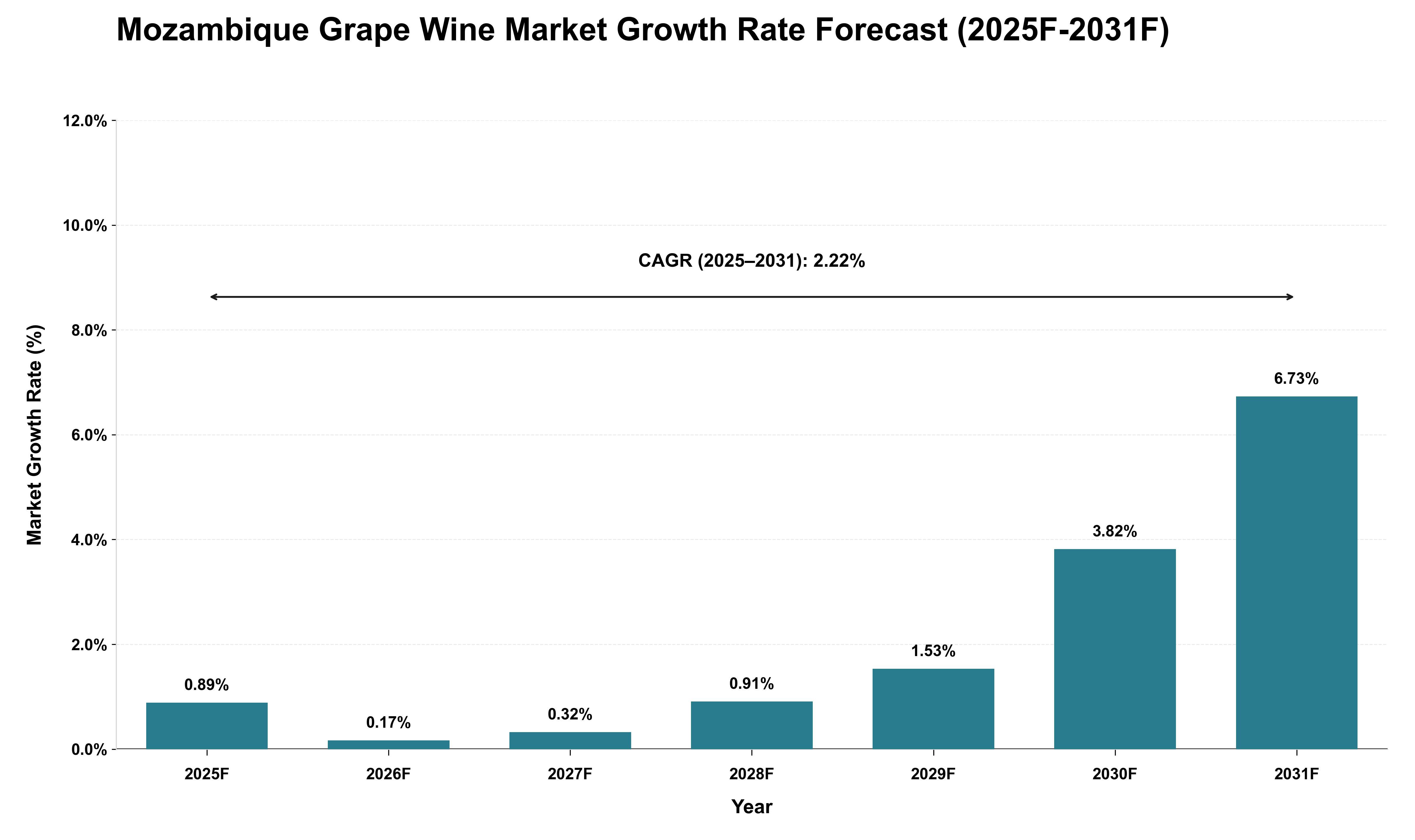 Mozambique Grape Wine Market Growth Rate Analysis (2025 - 2031)