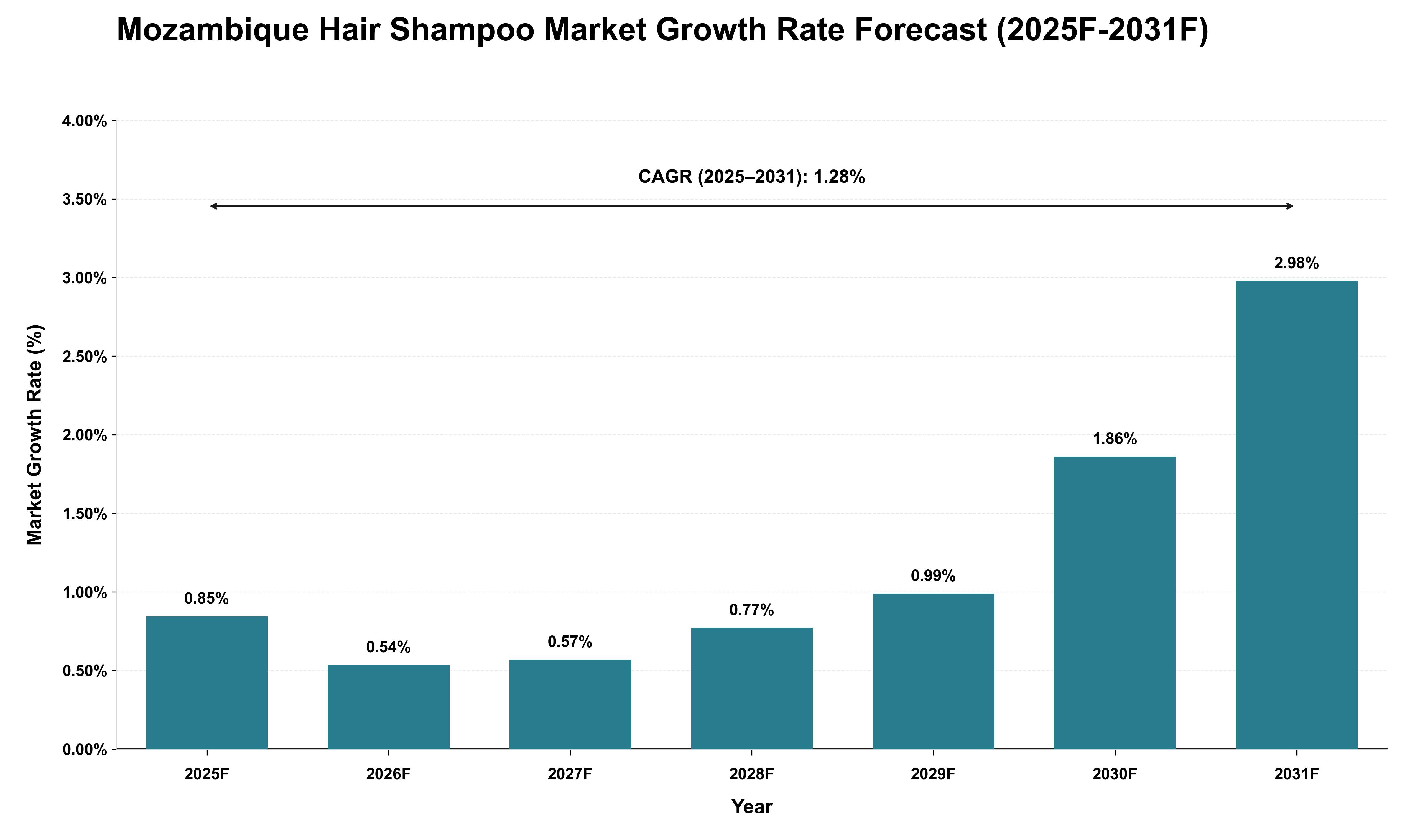 Mozambique Hair Shampoo Market Growth Rate Analysis (2025 - 2031)