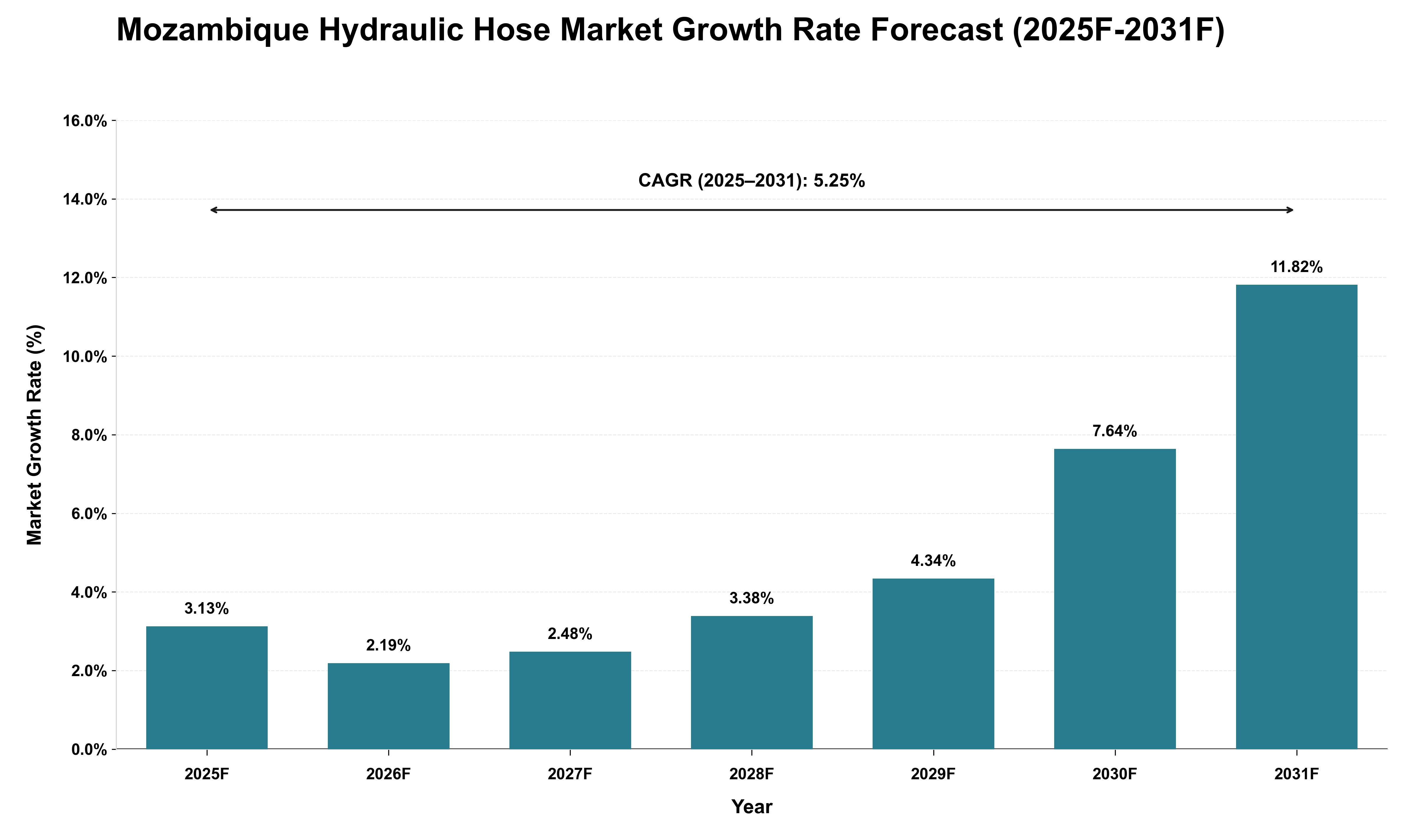 Mozambique Hydraulic Hose Market Growth Rate Analysis (2025 - 2031)
