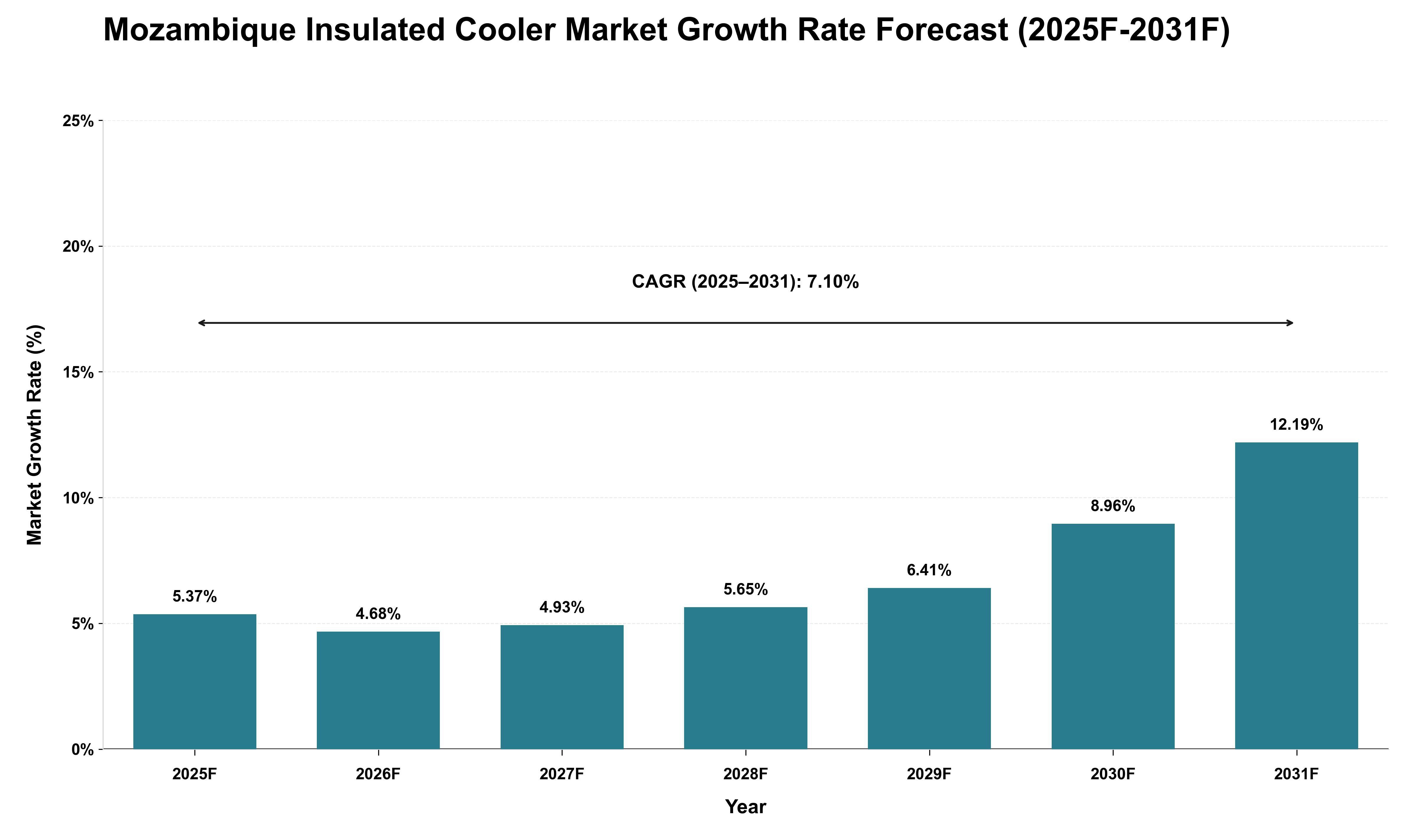 Mozambique Insulated Cooler Market Growth Rate Analysis (2025 - 2031)