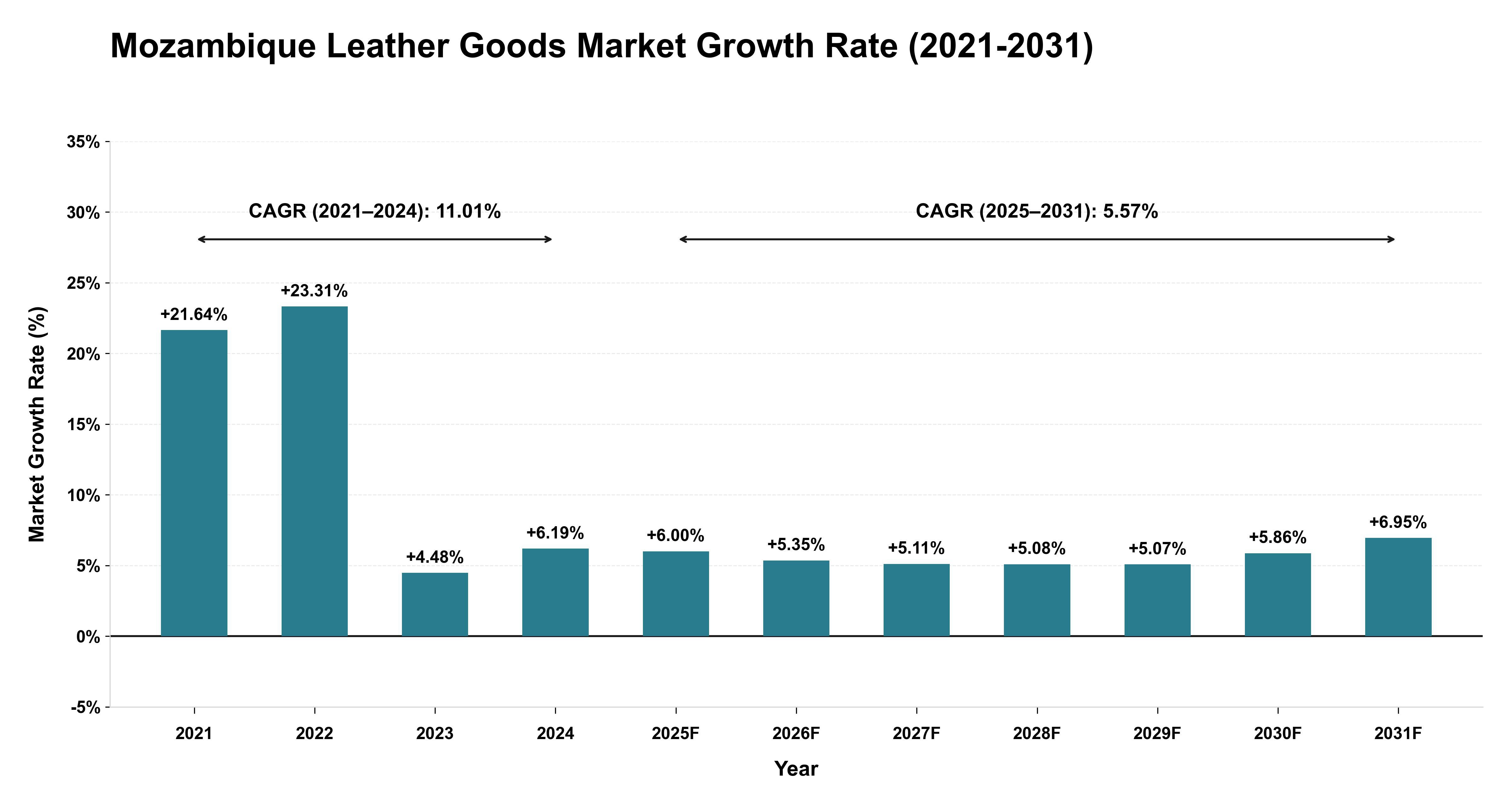Mozambique Leather Goods Market Growth Rate Analysis (2021-2031)
