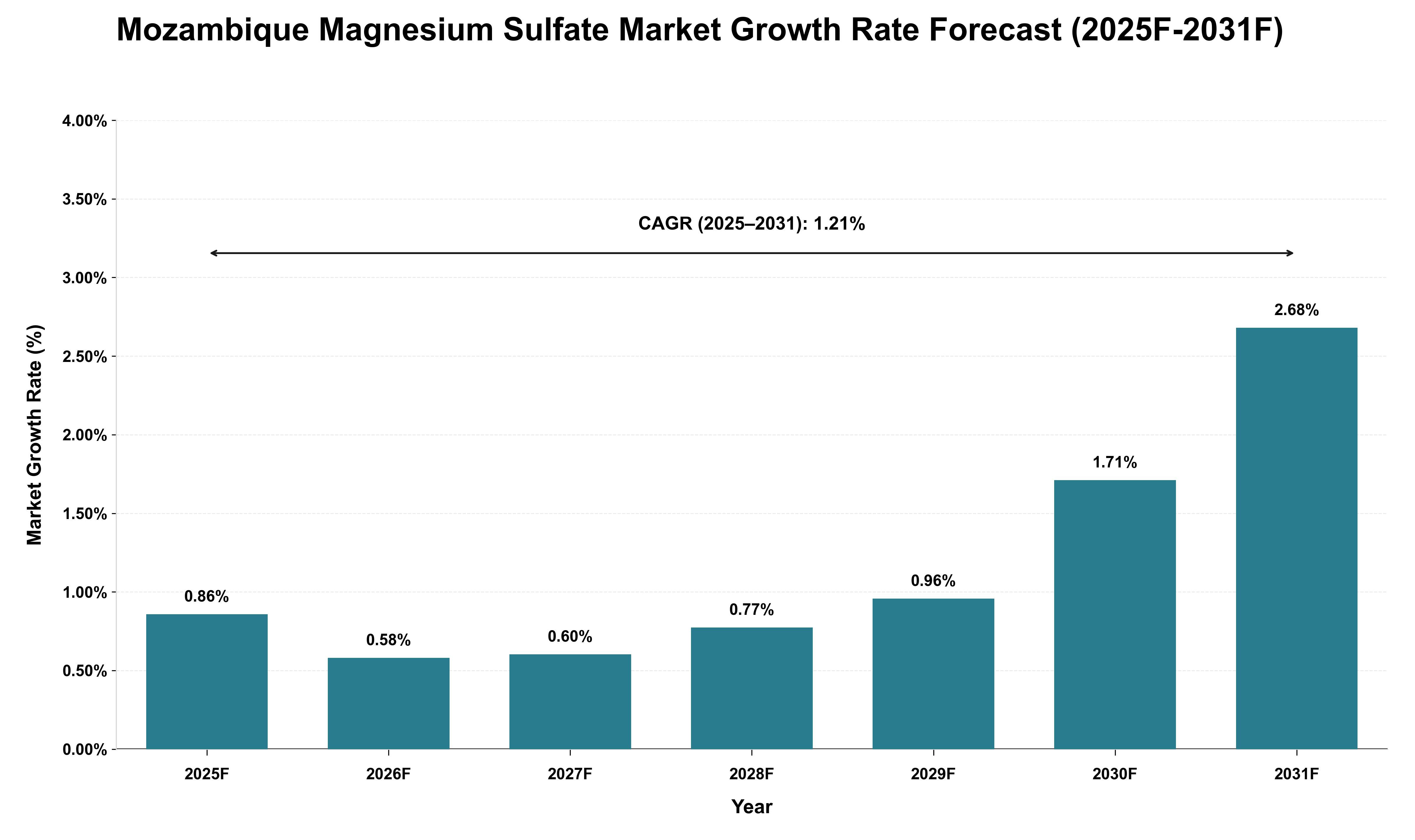 Mozambique Magnesium Sulfate Market Growth Rate Analysis (2025 - 2031)