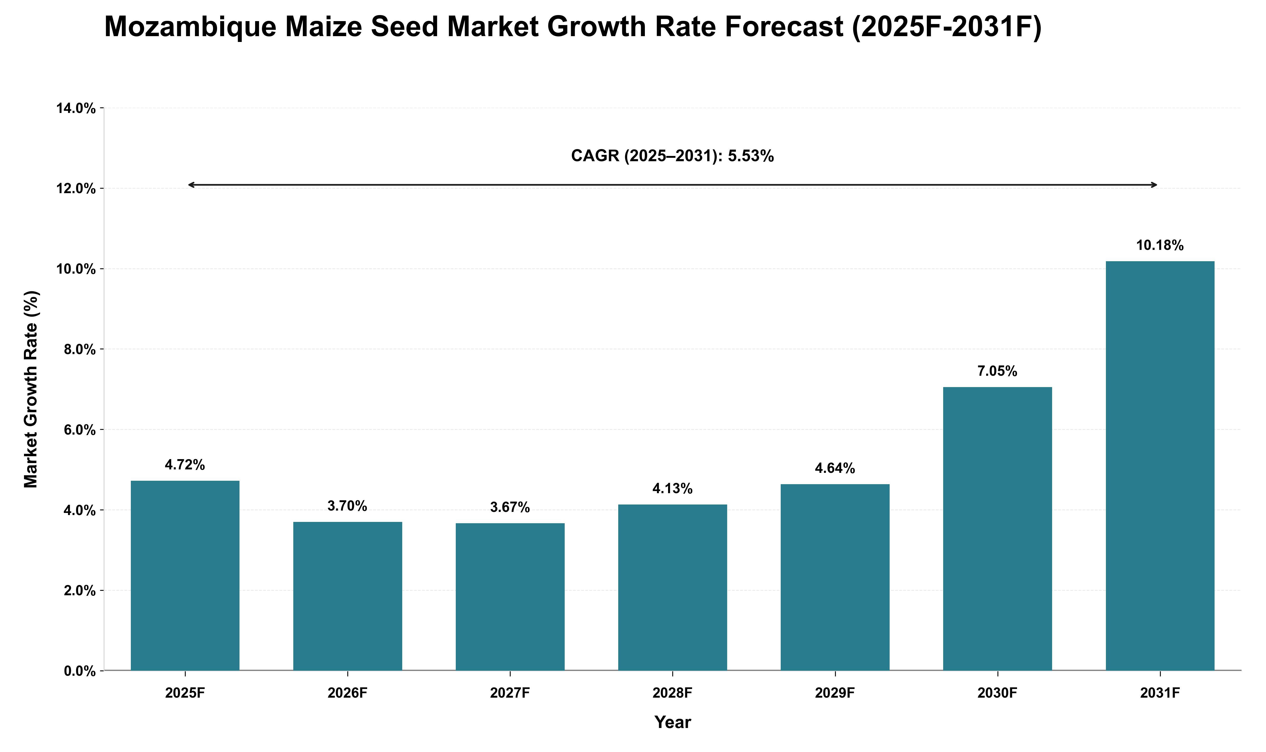 Mozambique Maize Seed Market Growth Rate Analysis (2025 - 2031)