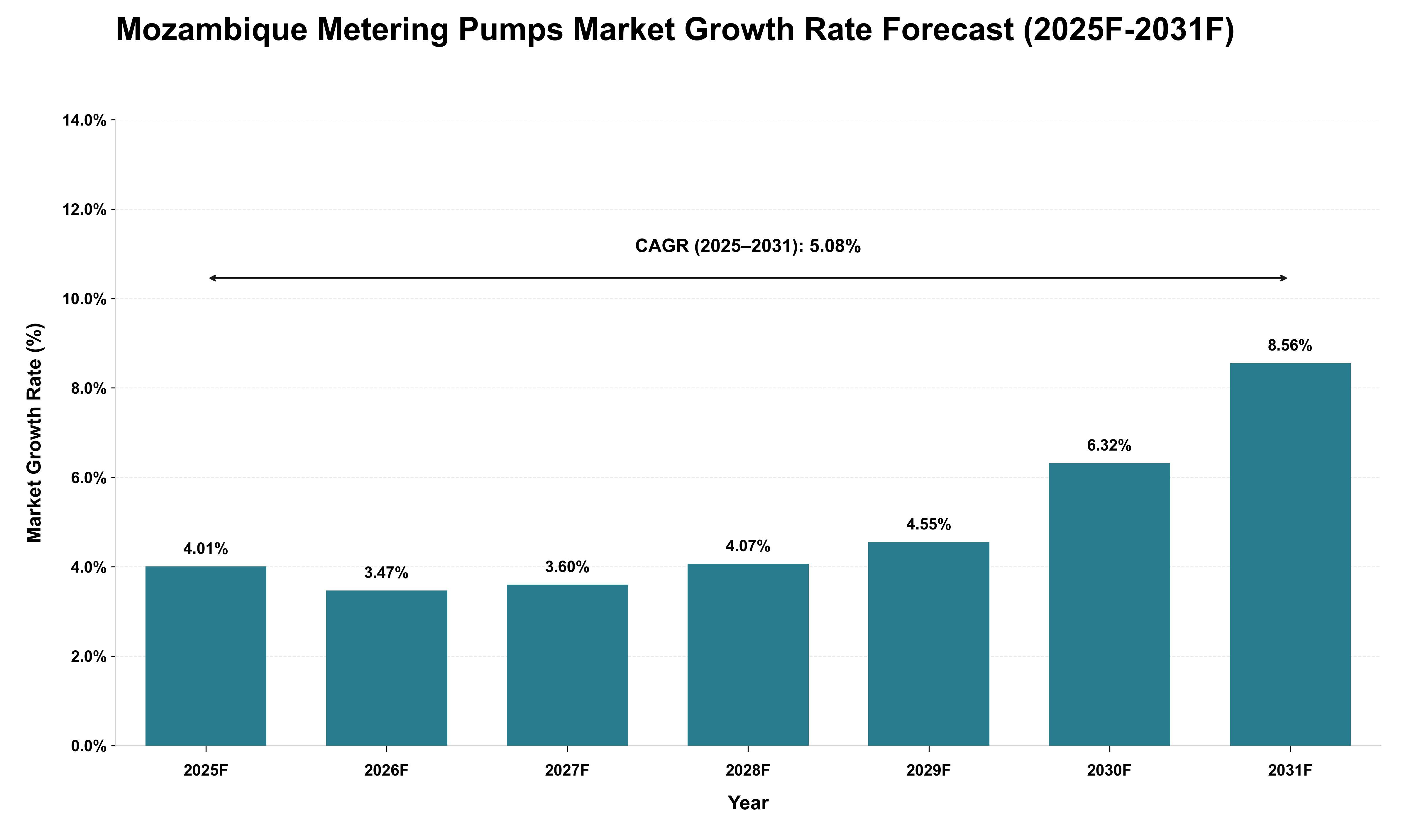 Mozambique Metering Pumps Market Growth Rate Analysis (2025 - 2031)