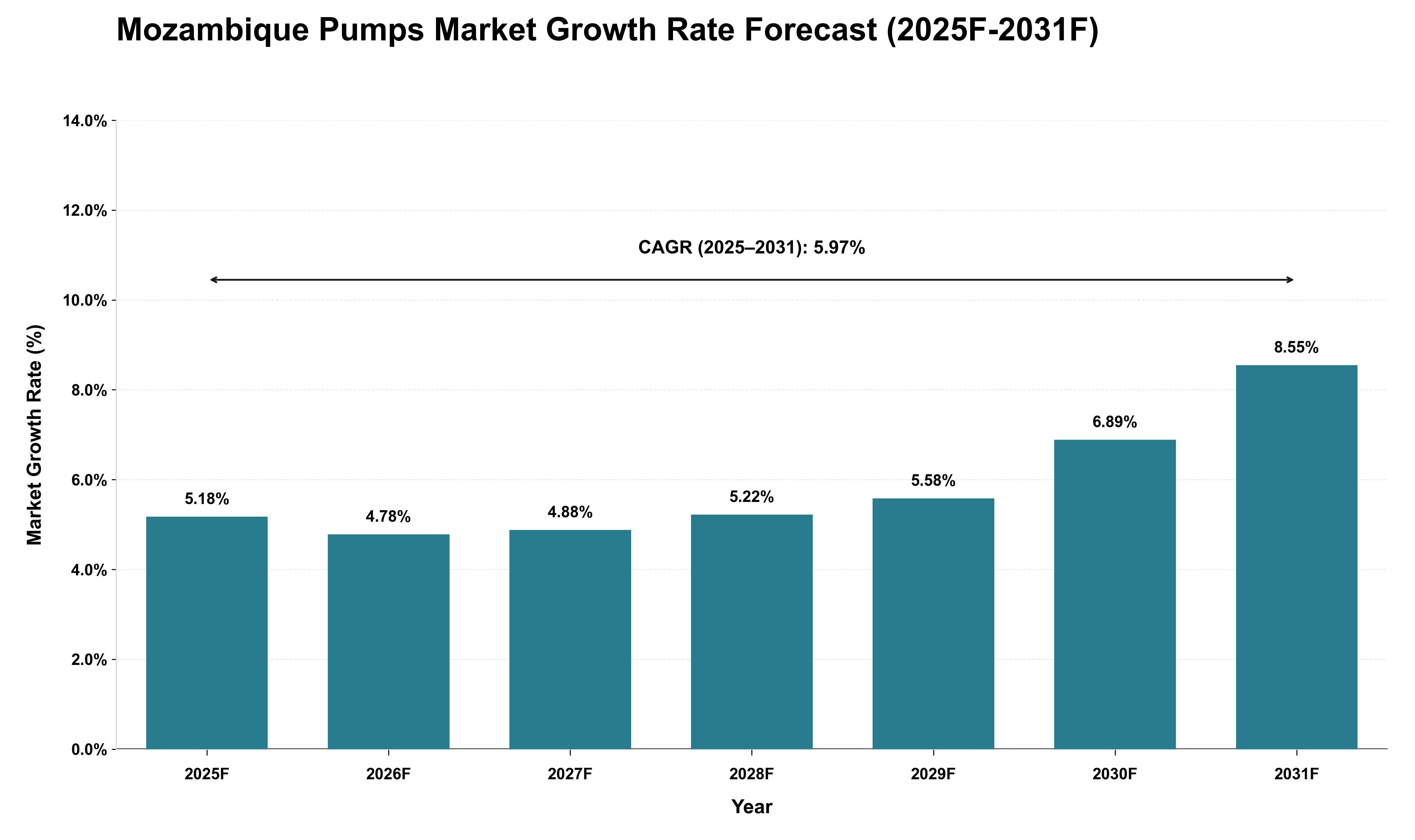 Mozambique Pumps Market Growth Rate Analysis (2025 - 2031)
