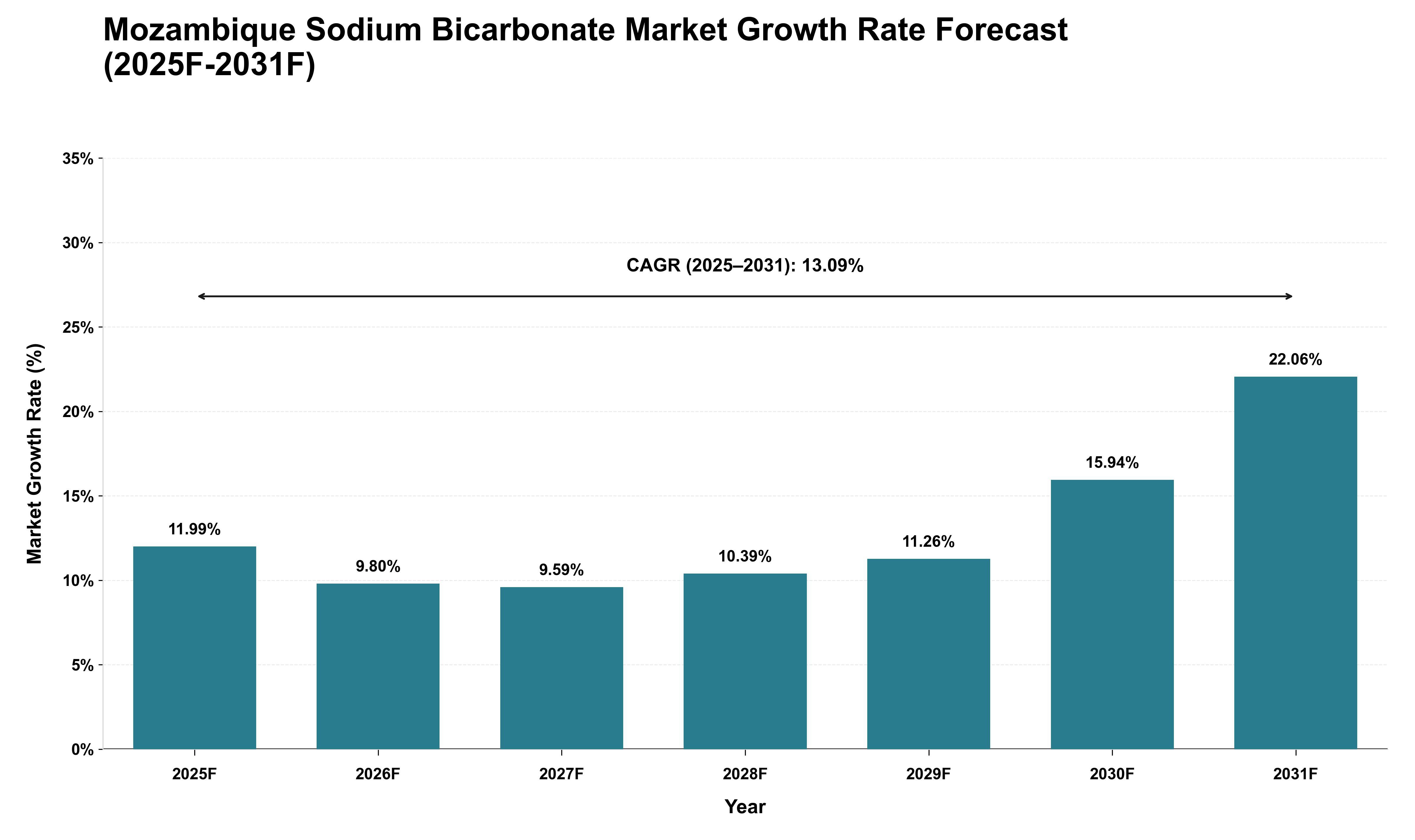 Mozambique Sodium Bicarbonate Market Growth Rate Analysis (2025 - 2031)