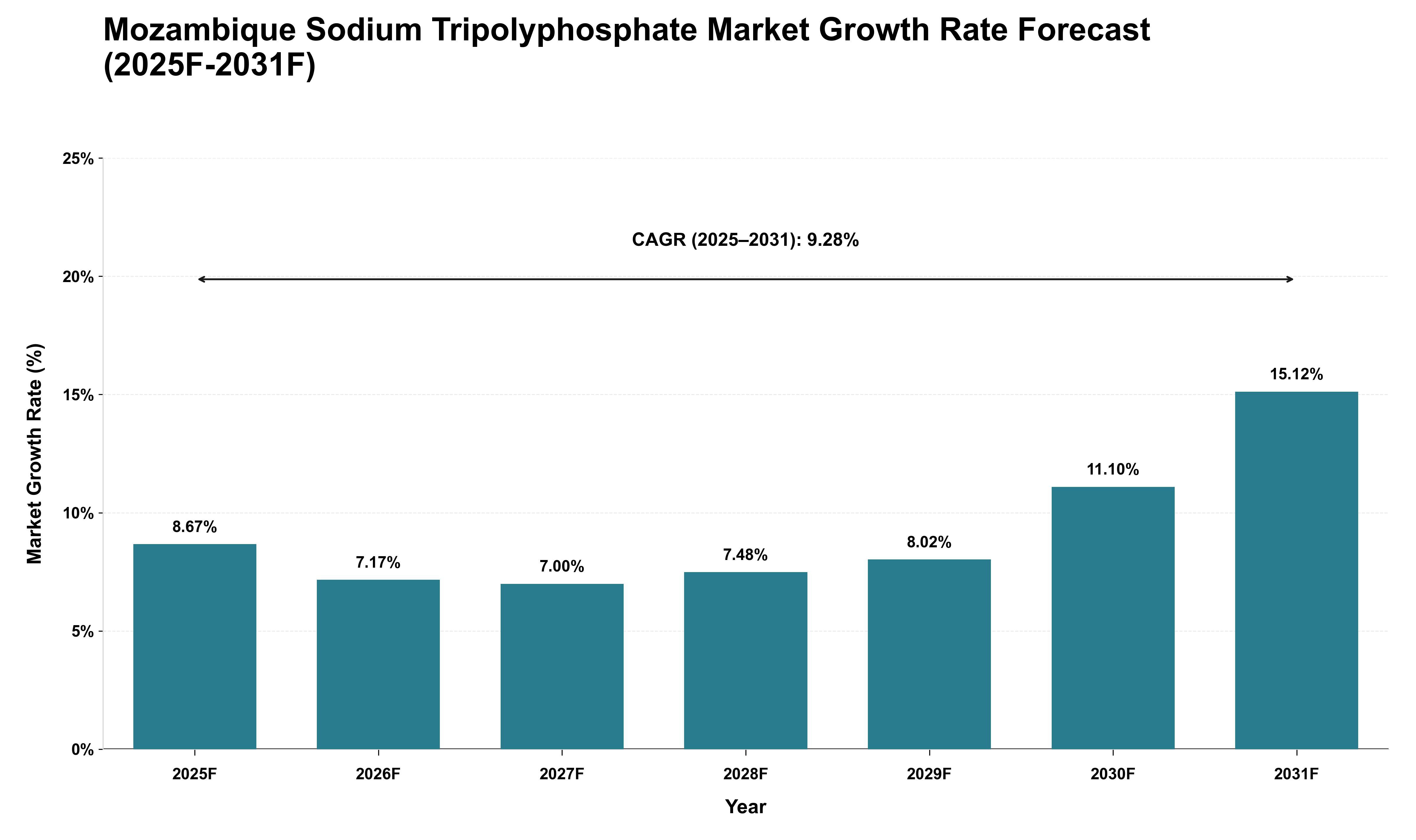 Mozambique Sodium Tripolyphosphate Market Growth Rate Analysis (2025 - 2031)