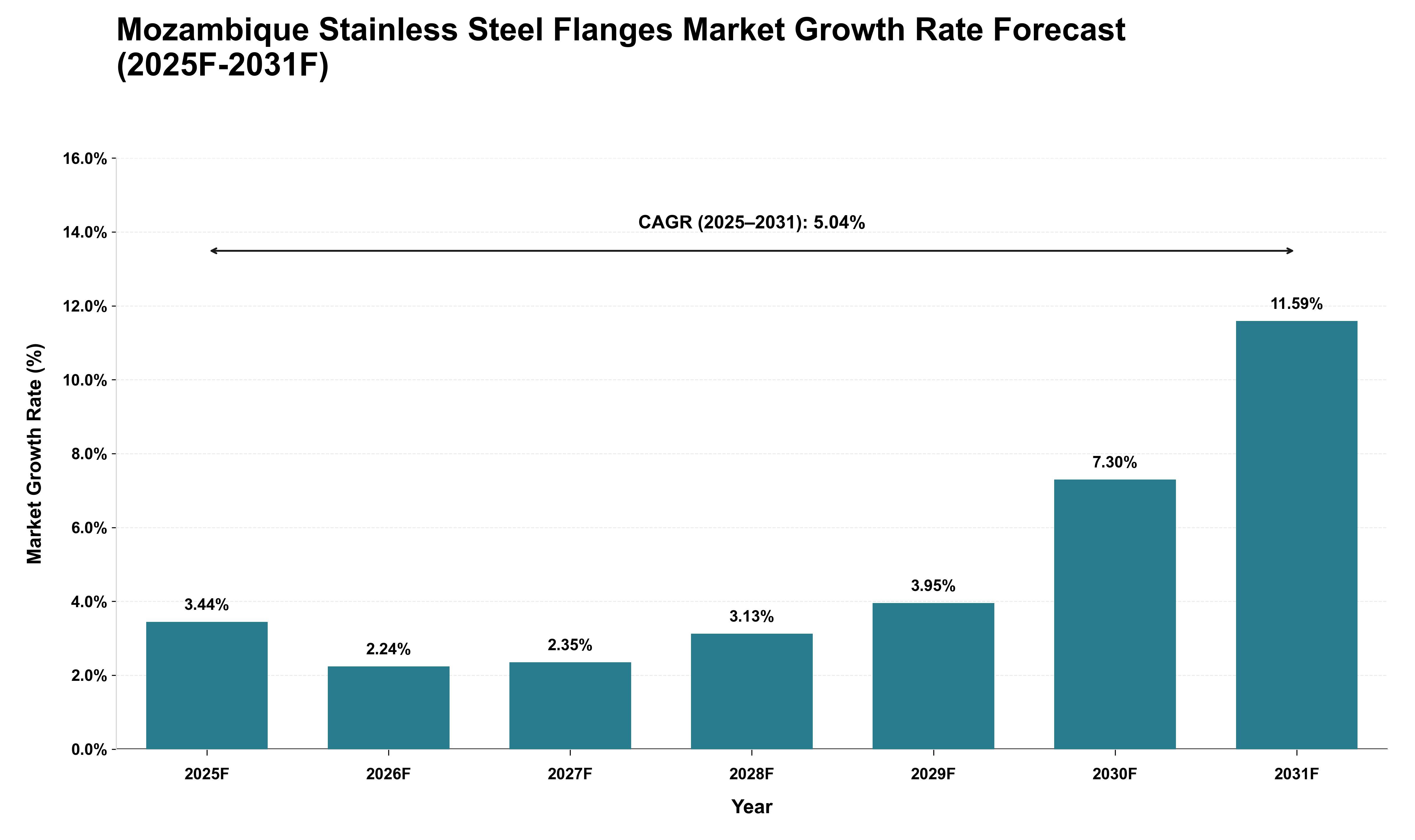 Mozambique Stainless Steel Flanges Market Growth Rate Analysis (2025 - 2031)