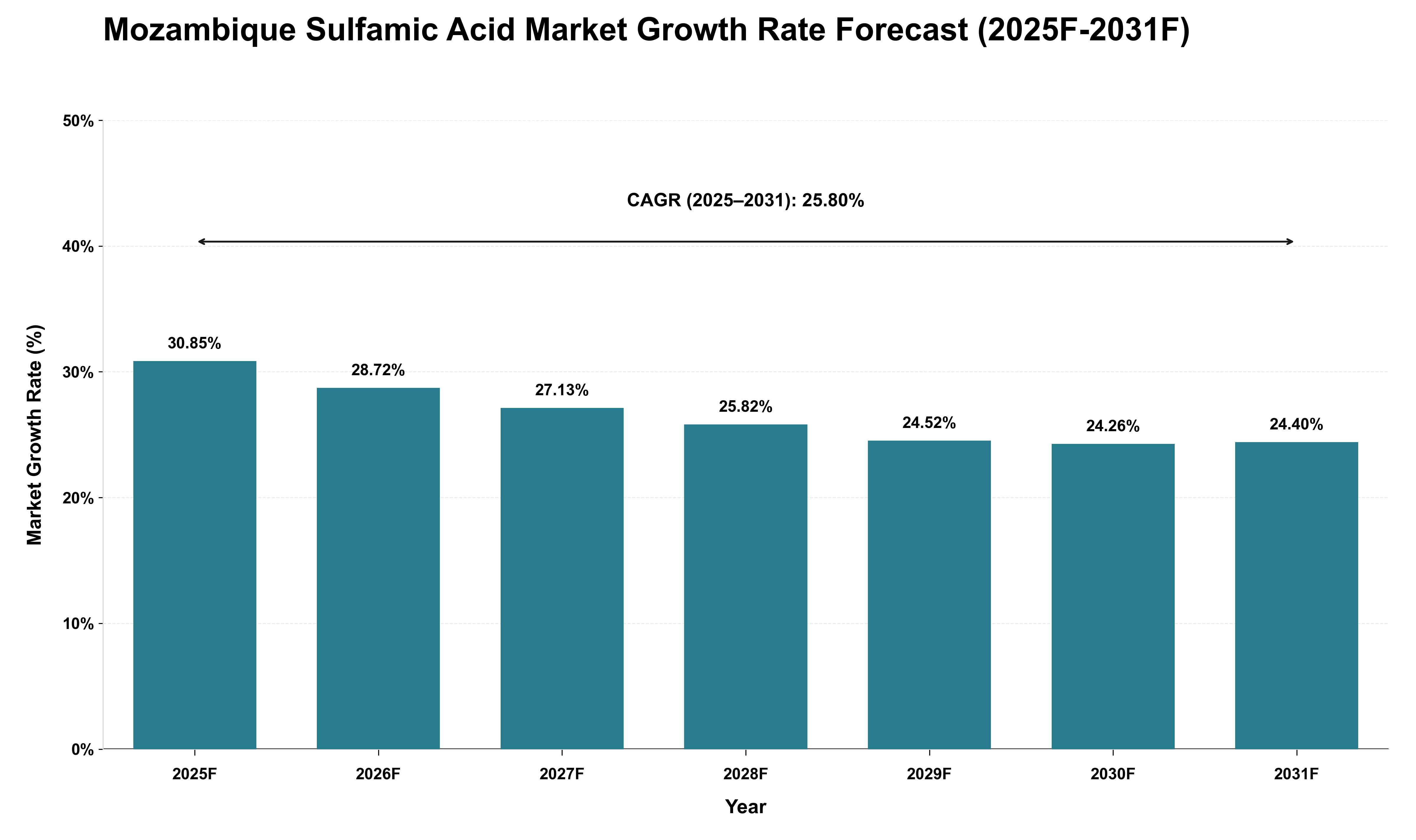Mozambique Sulfamic Acid Market Growth Rate Analysis (2025 - 2031)