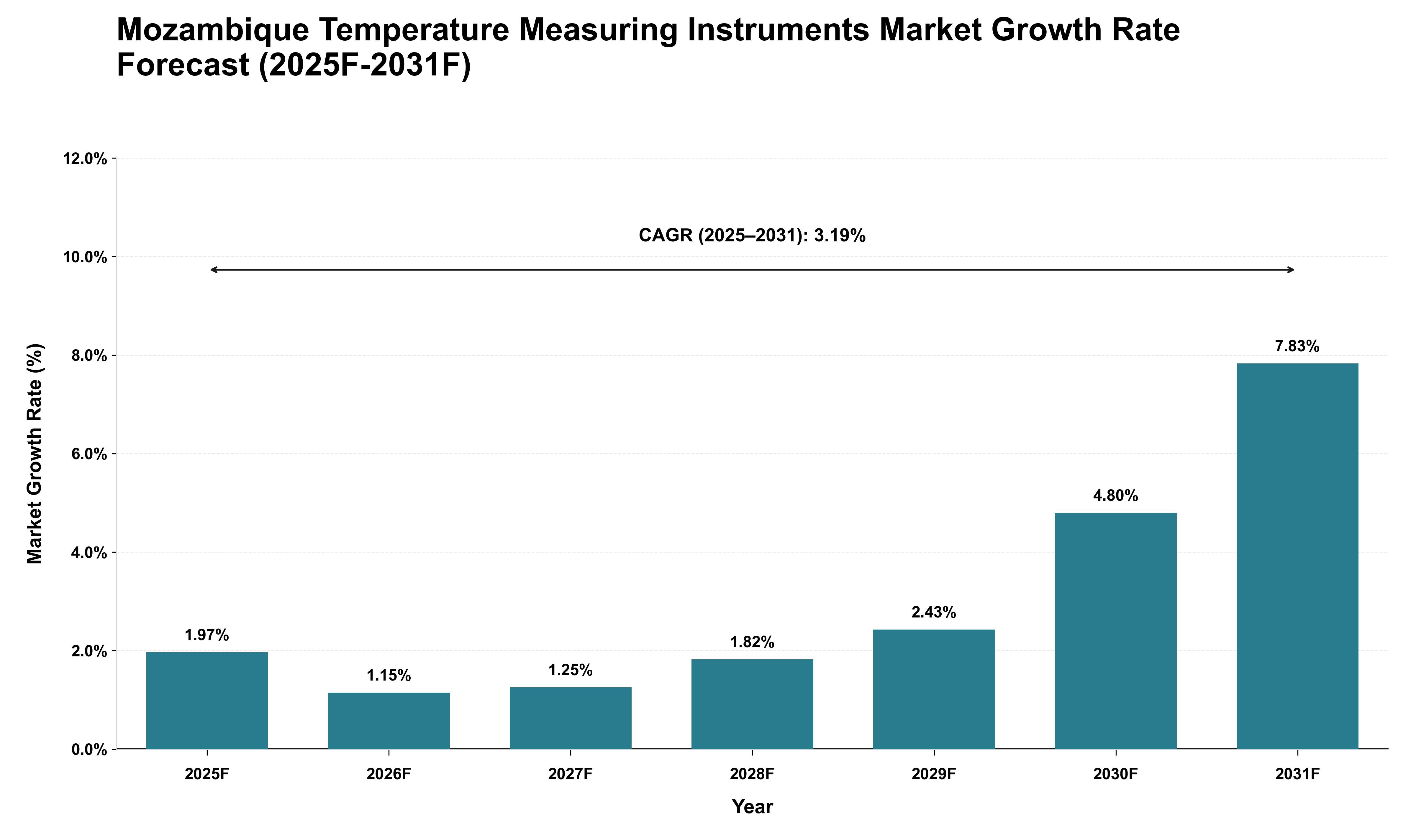 Mozambique Temperature Measuring Instruments Market Growth Rate Analysis (2025 - 2031)