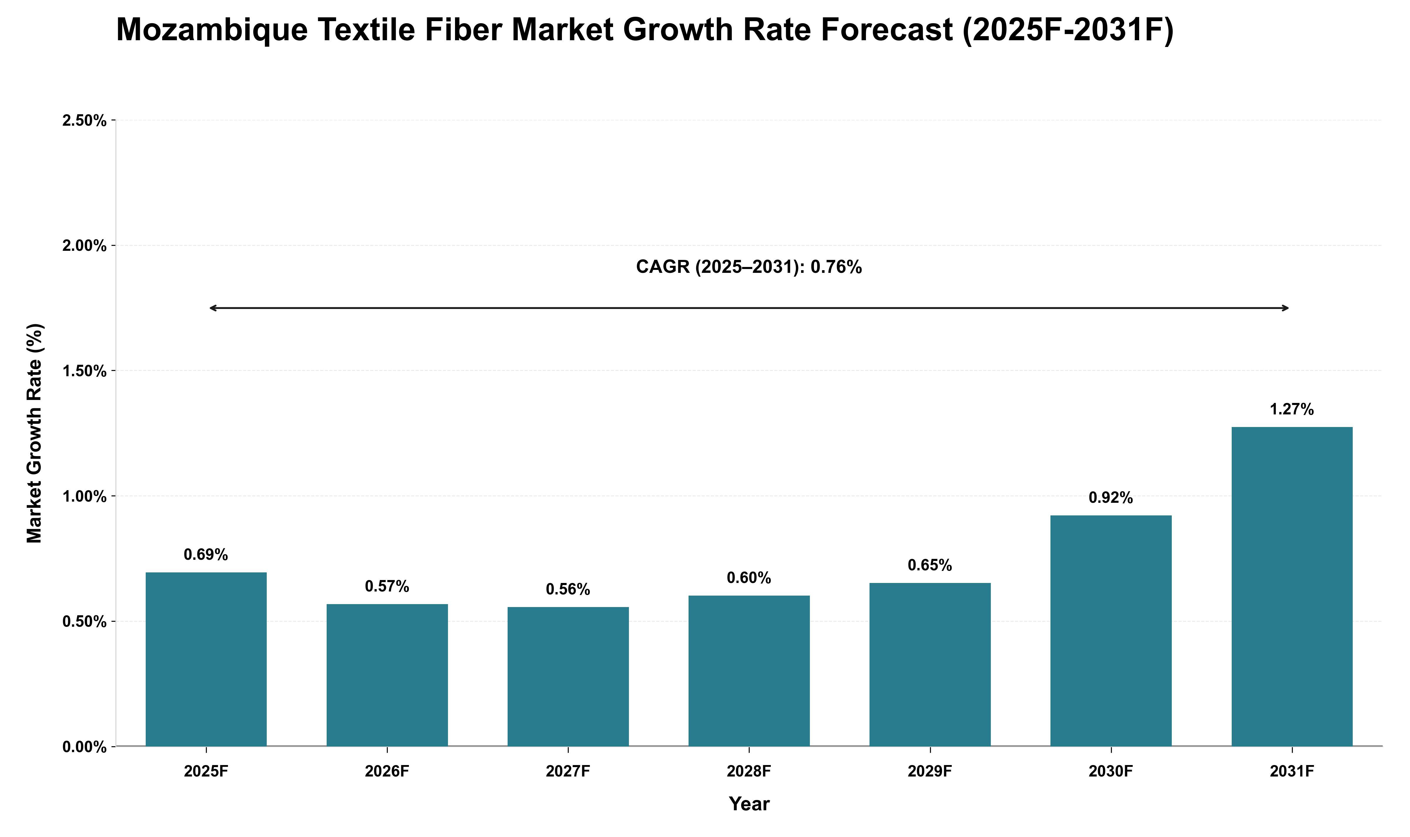 Mozambique Textile Fiber Market Growth Rate Analysis (2025 - 2031)