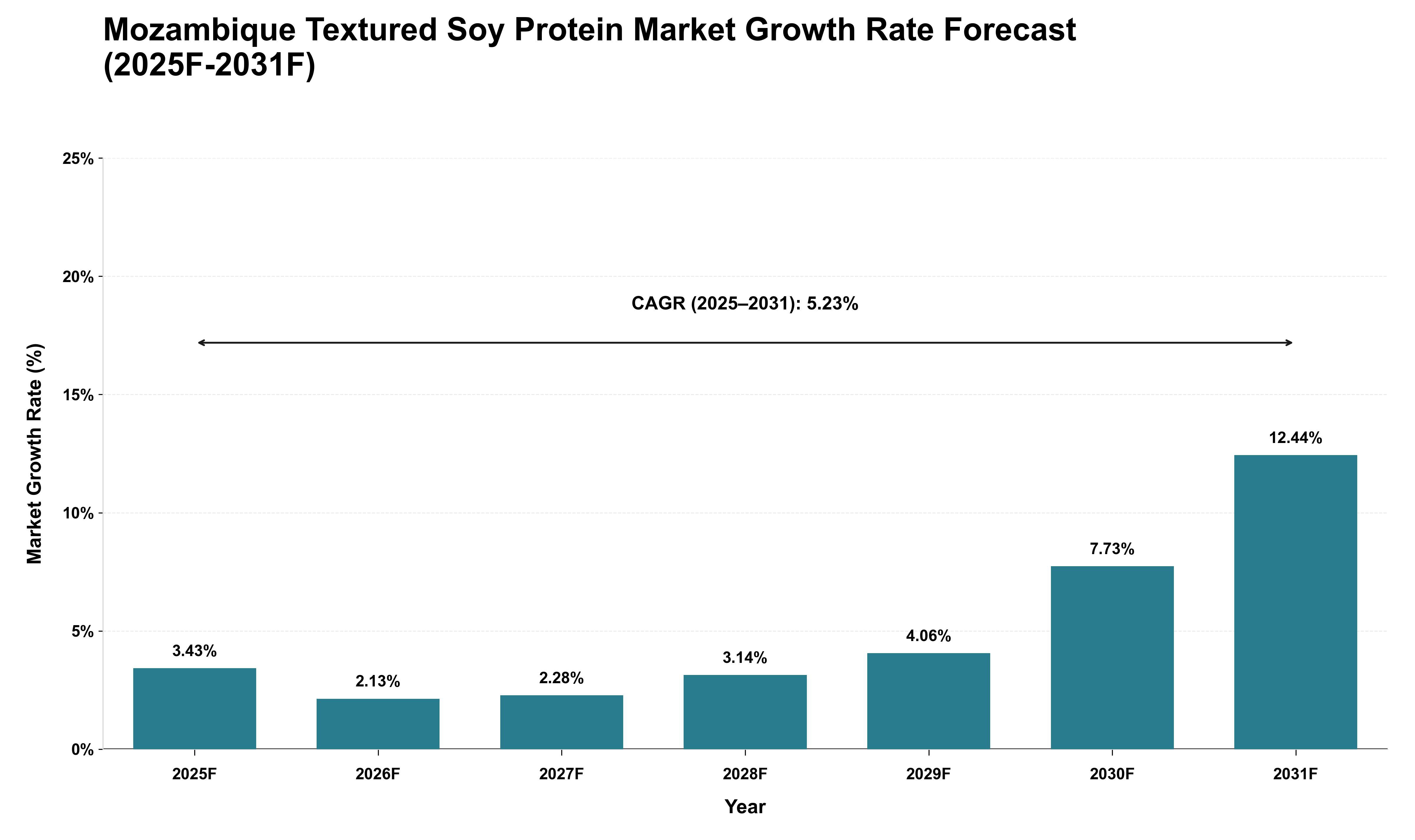 Mozambique Textured Soy Protein Market Growth Rate Analysis (2025 - 2031)