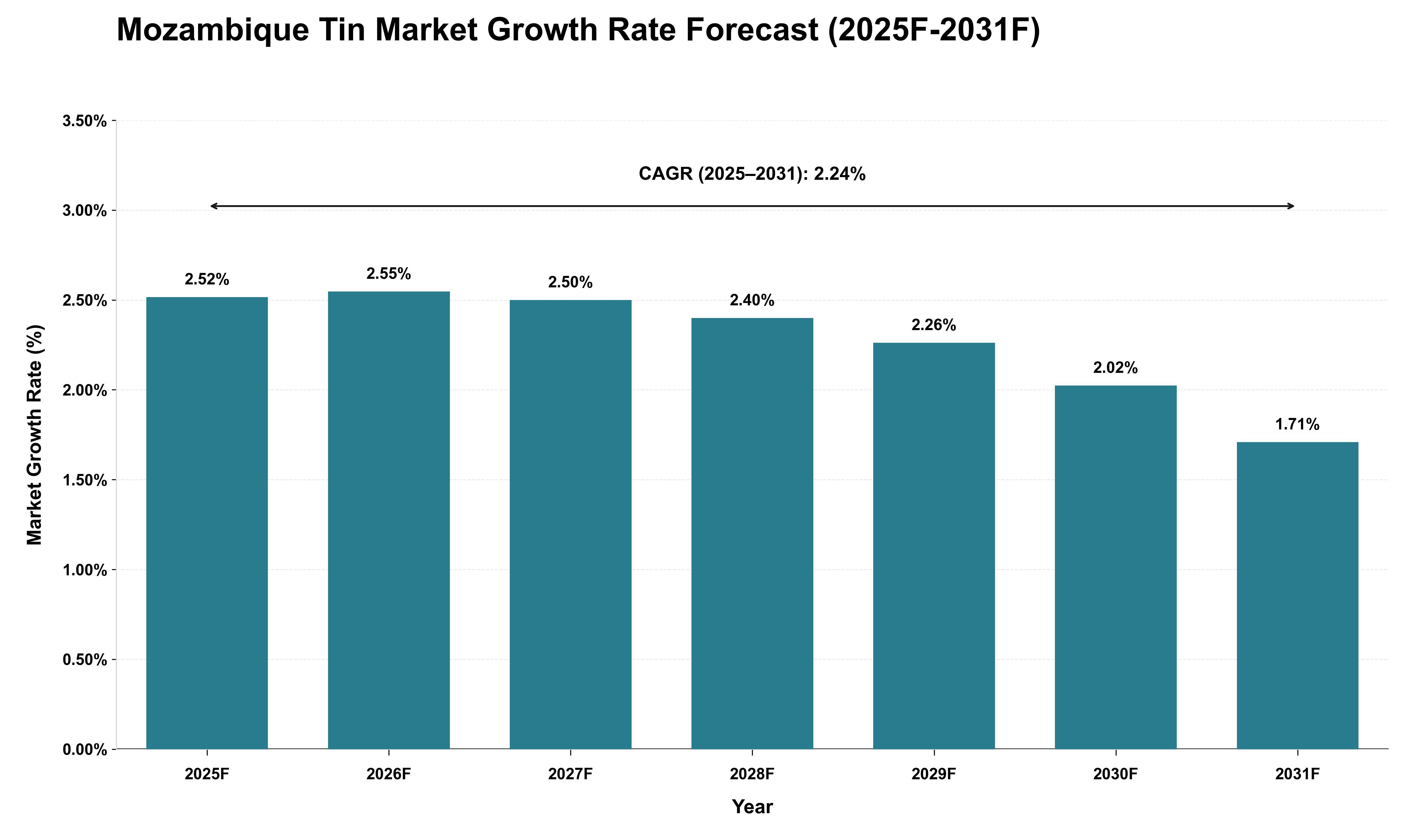 Mozambique Tin Market Growth Rate Analysis (2025 - 2031)