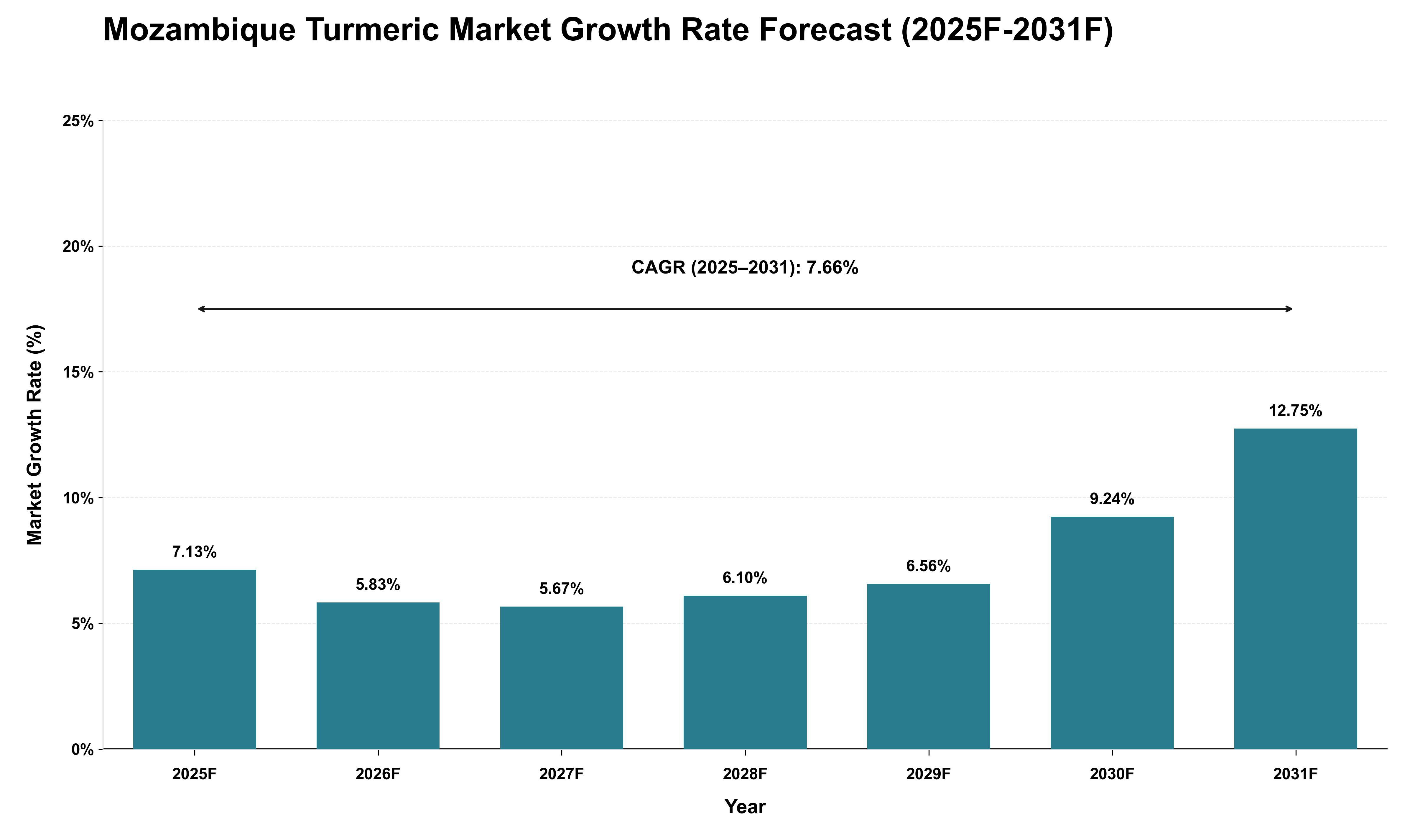 Mozambique Turmeric Market Growth Rate Analysis (2025 - 2031)