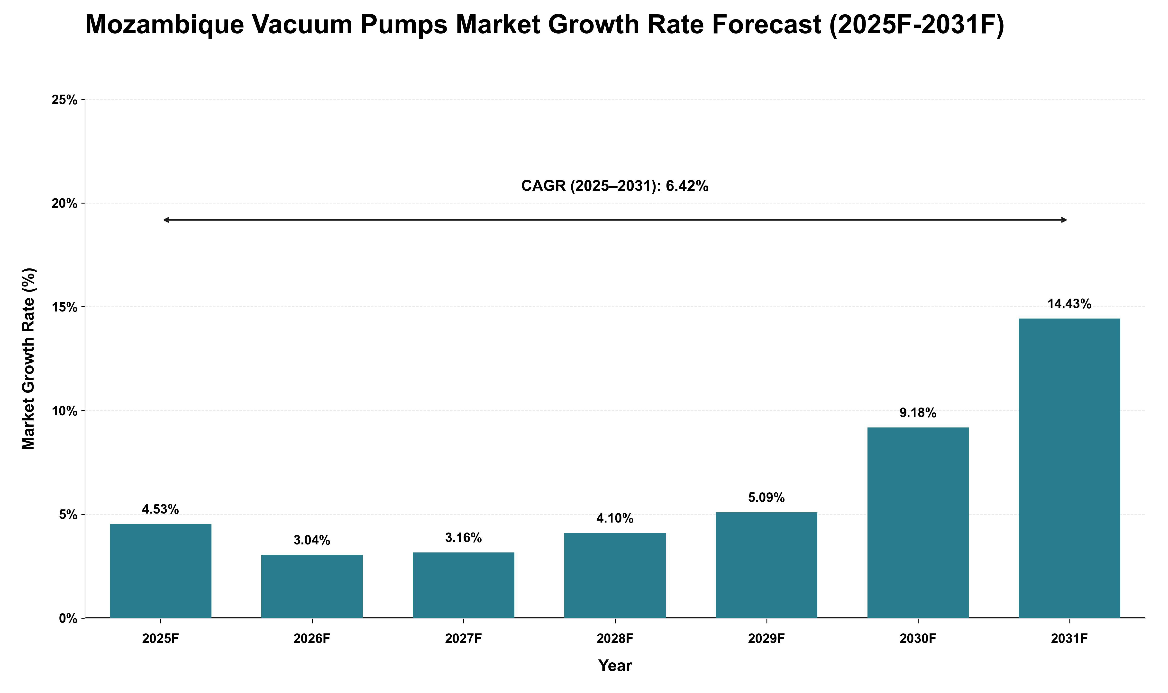 Mozambique Vacuum Pumps Market Growth Rate Analysis (2025 - 2031)