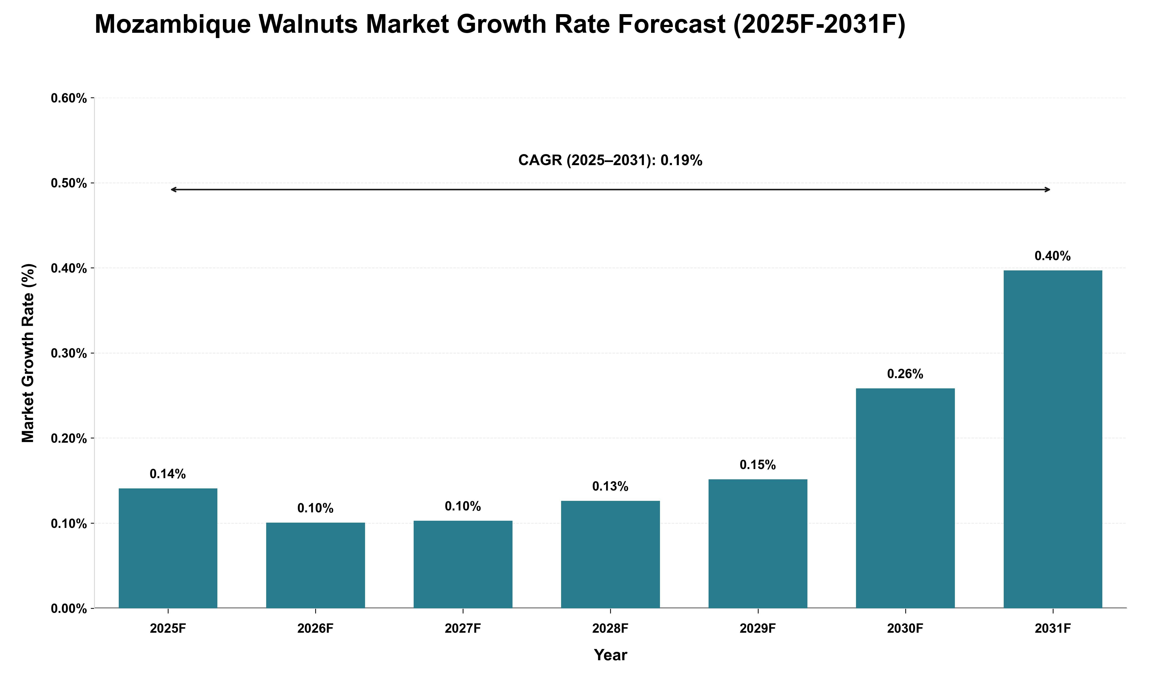 Mozambique Walnuts Market Growth Rate Analysis (2025 - 2031)