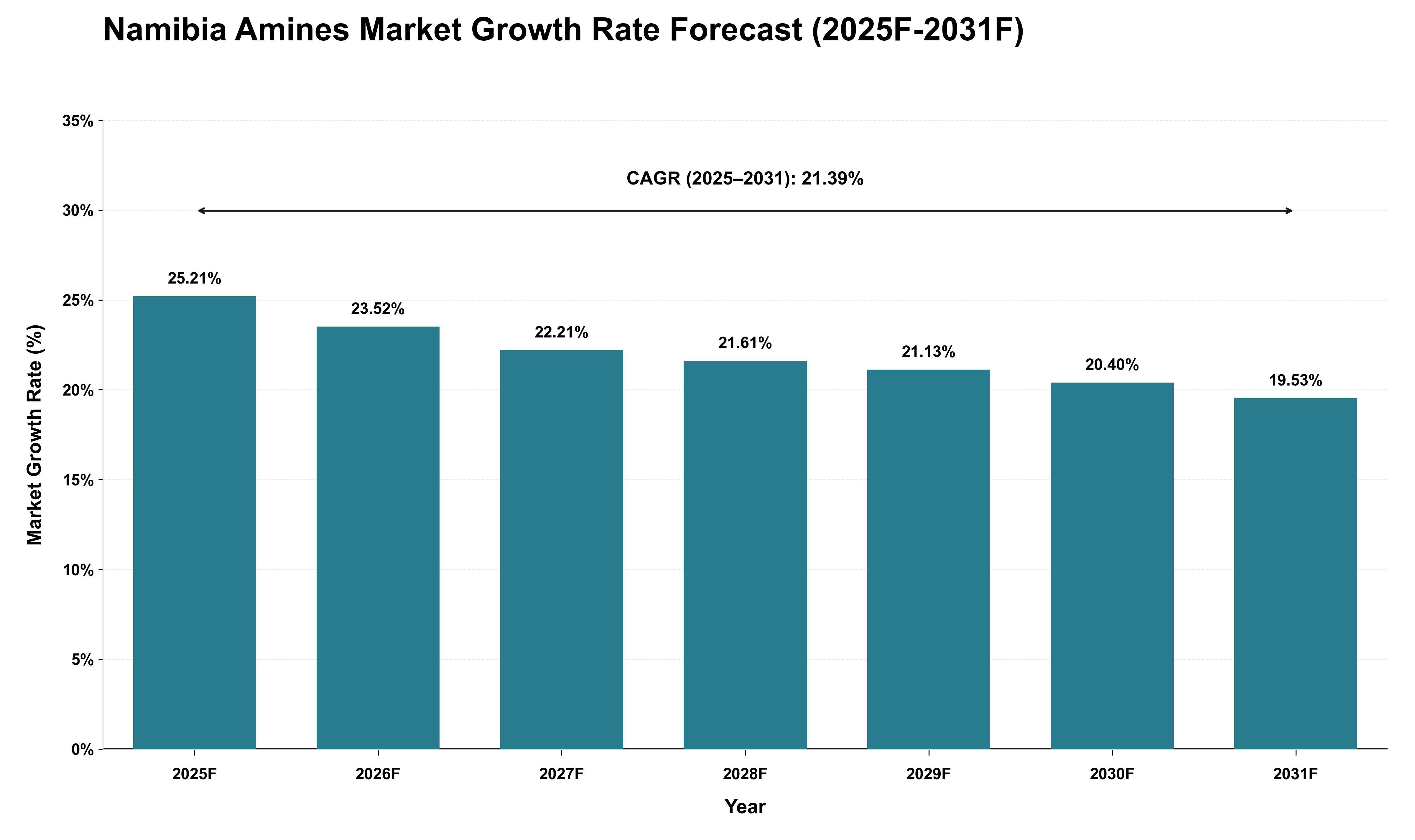Namibia Amines Market Growth Rate Analysis (2025 - 2031)