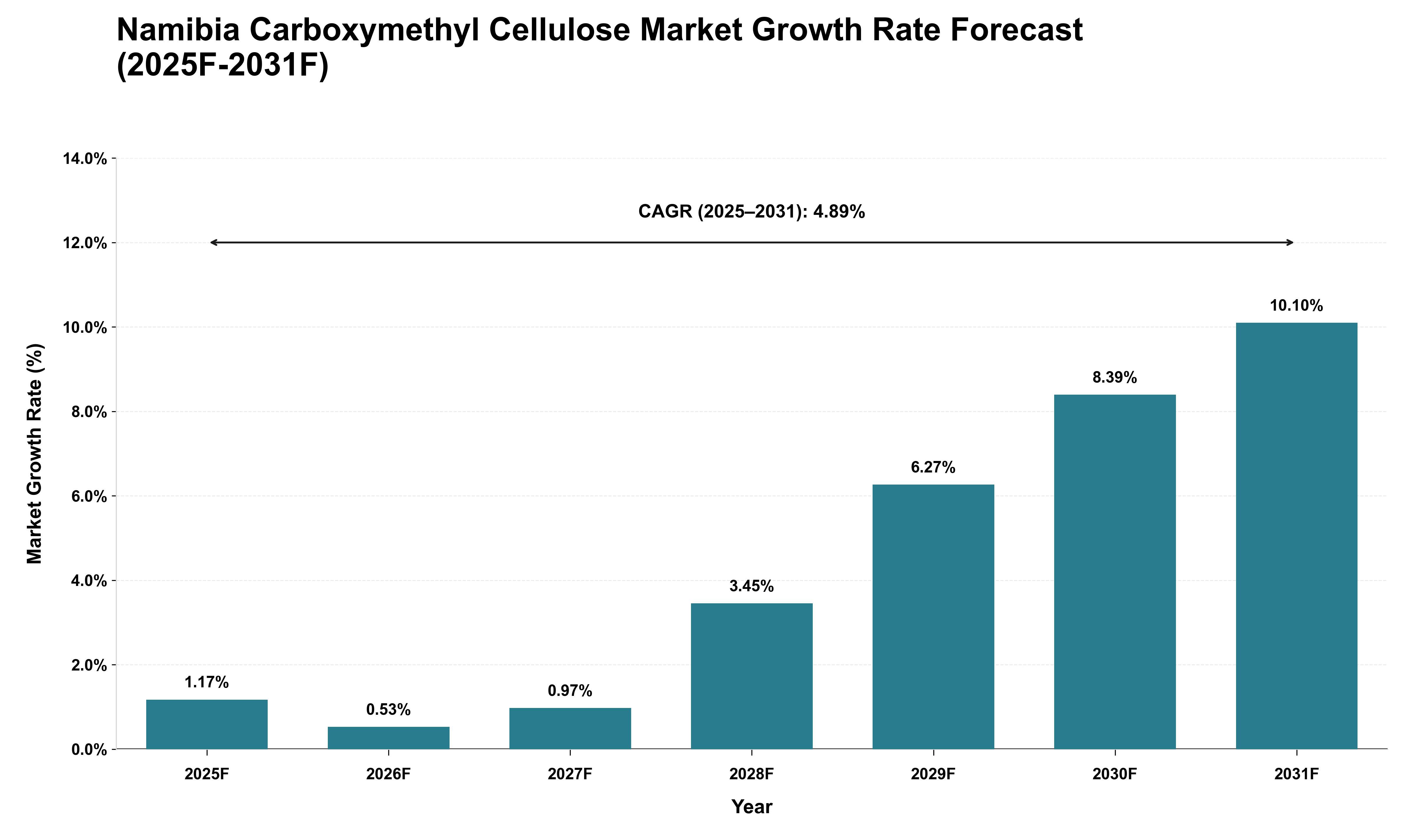 Namibia Carboxymethyl Cellulose Market Growth Rate Analysis (2025 - 2031)