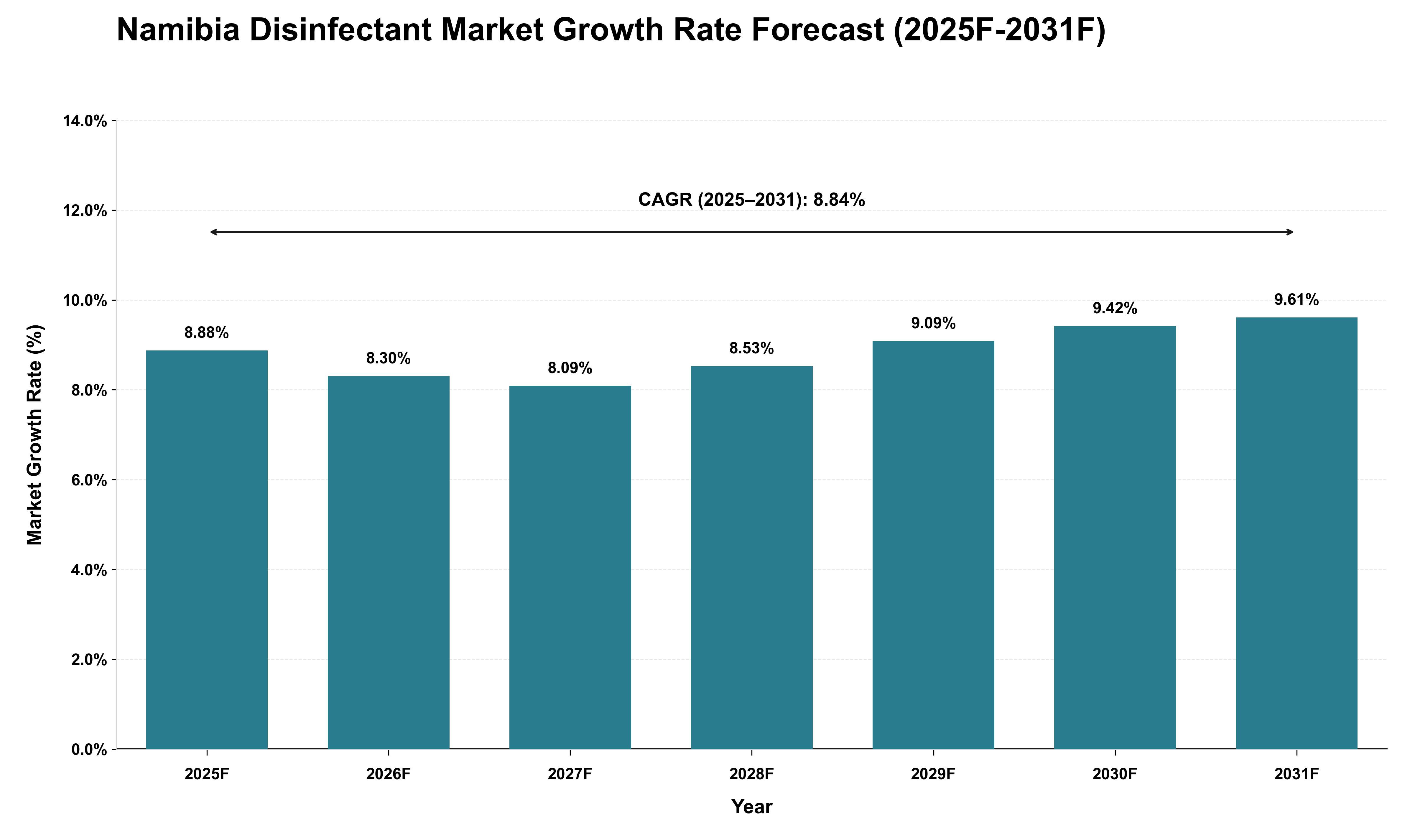 Namibia Disinfectant Market Growth Rate Analysis (2025 - 2031)