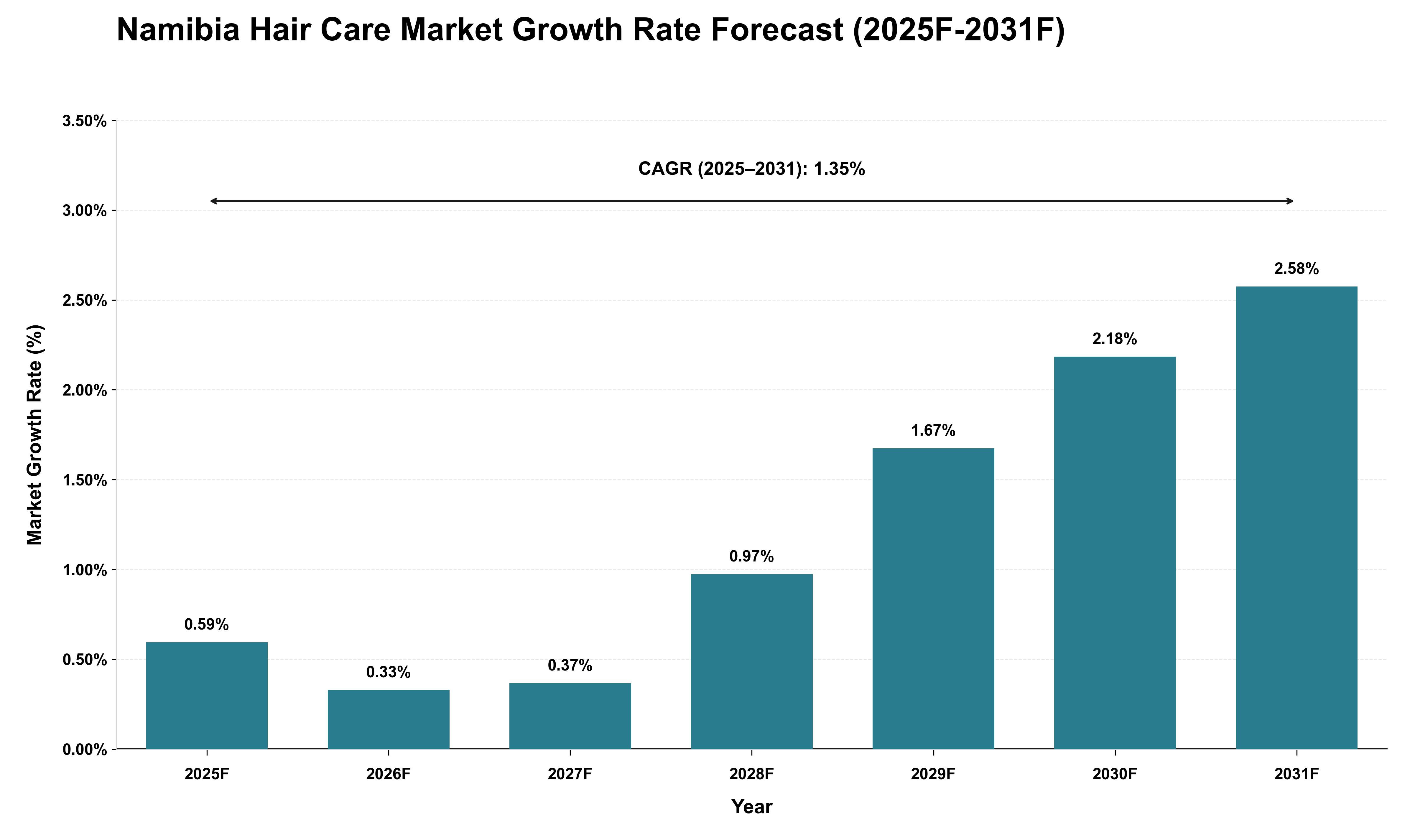 Namibia Hair Care Market Growth Rate Analysis (2025 - 2031)