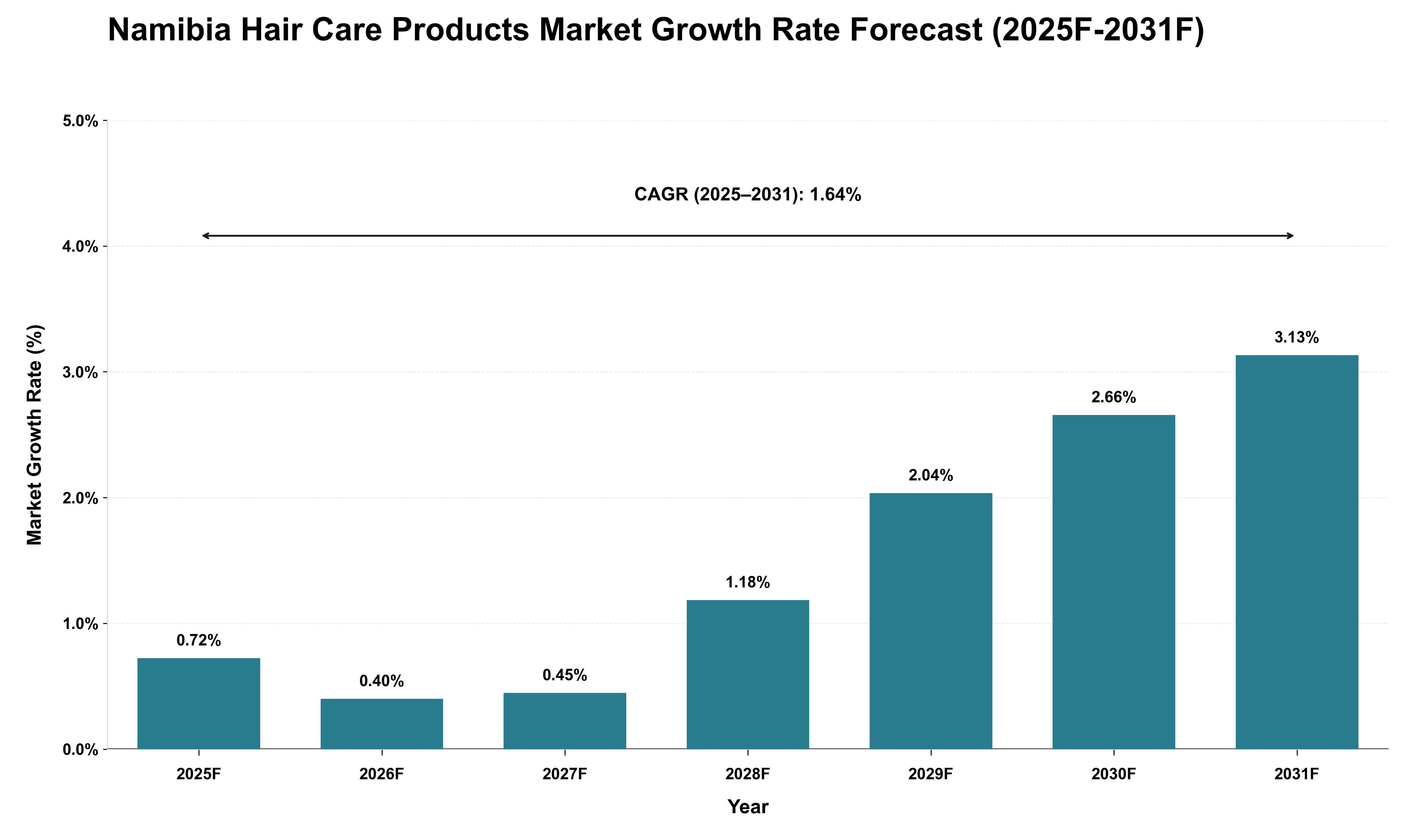 Namibia Hair Care Products Market Growth Rate Analysis (2025 - 2031)