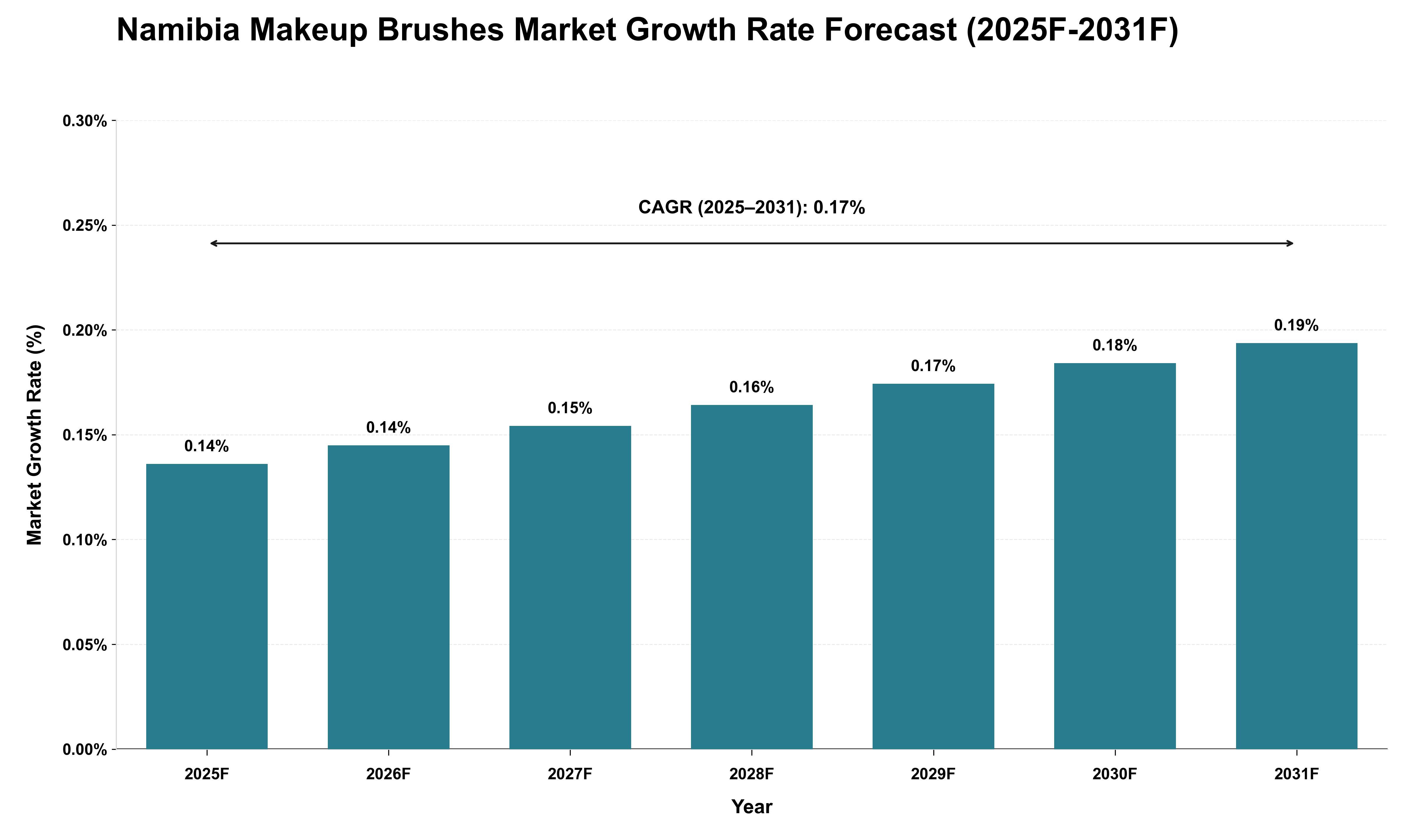 Namibia Makeup Brushes Market Growth Rate Analysis (2025 - 2031)