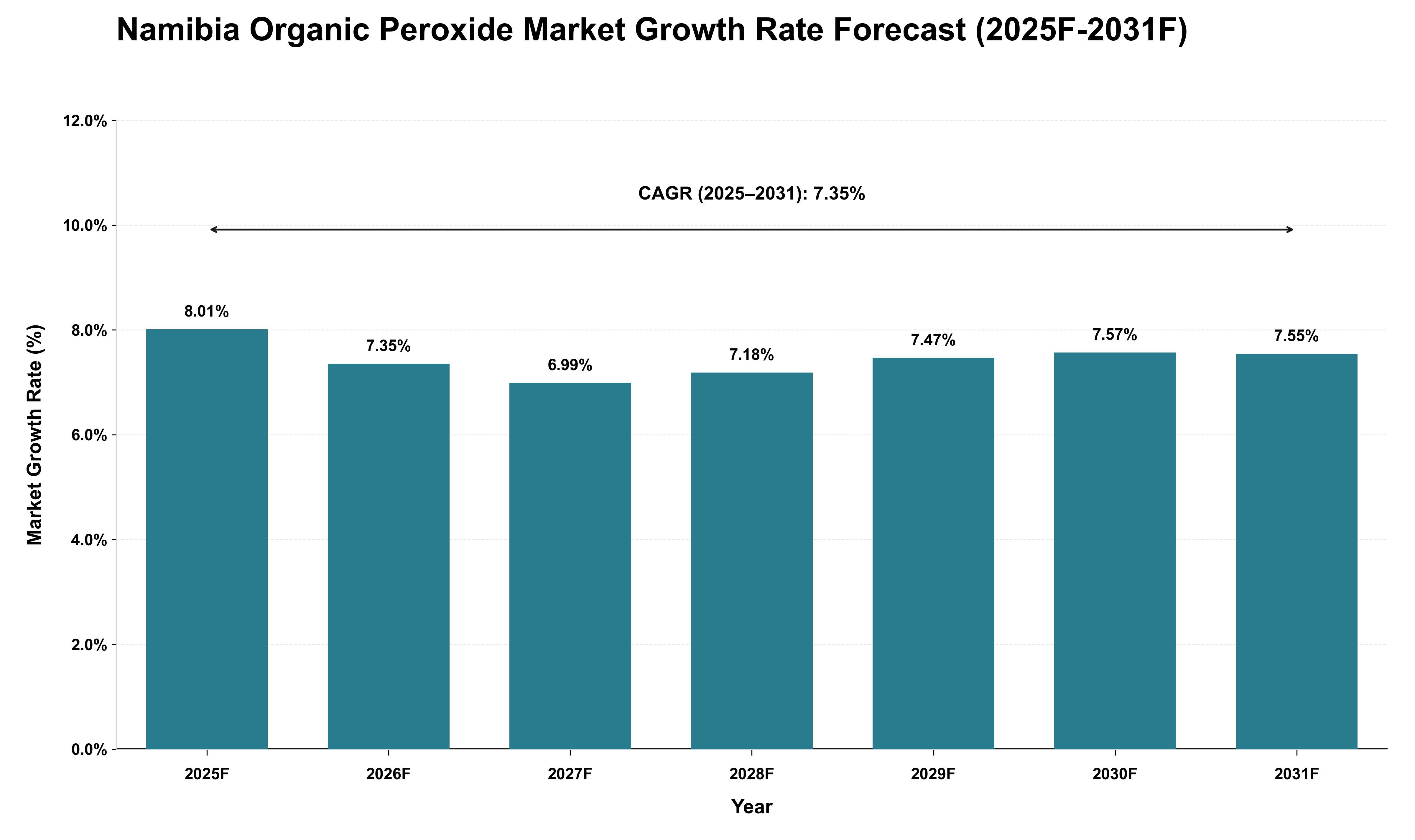 Namibia Organic Peroxide Market Growth Rate Analysis (2025 - 2031)