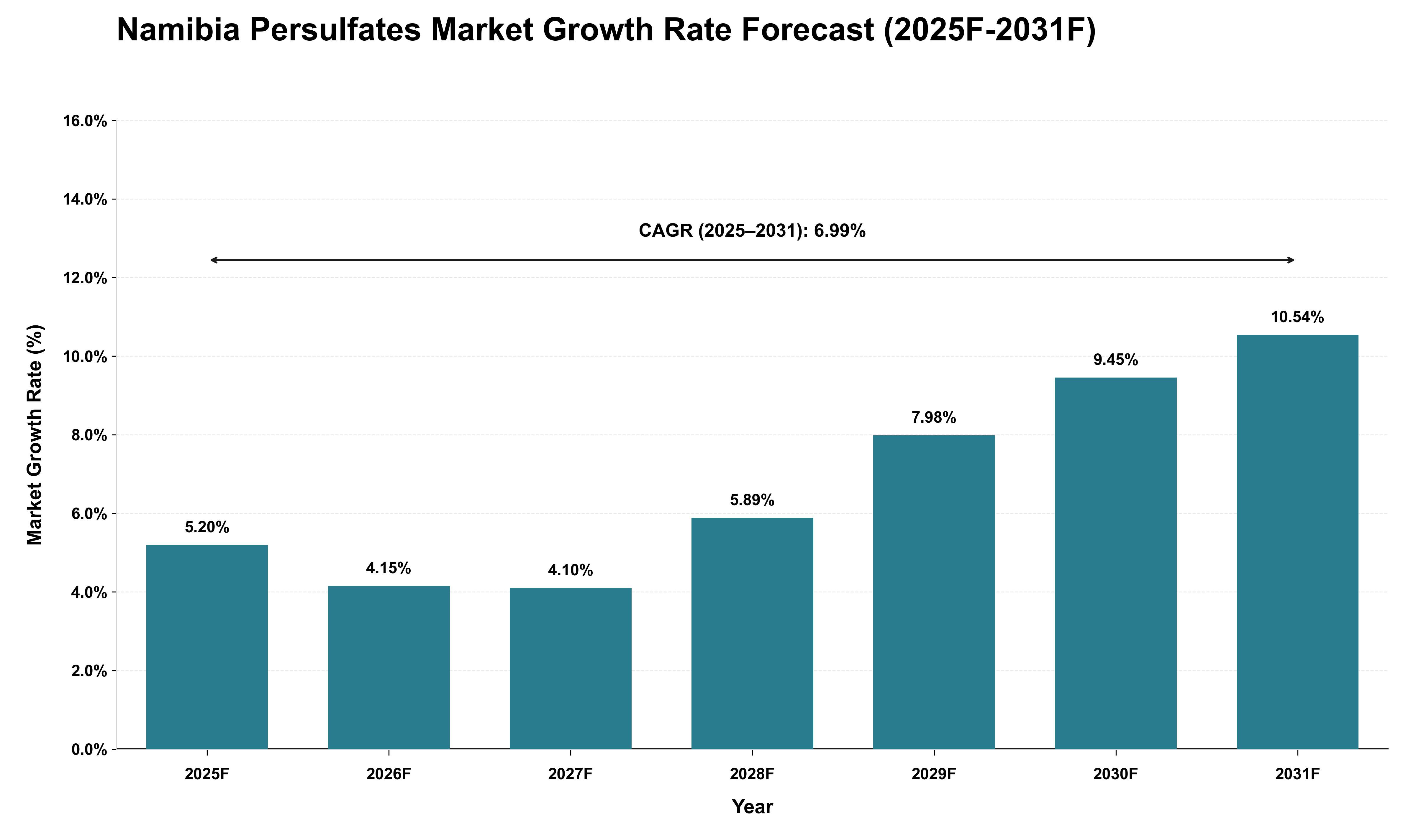 Namibia Persulfates Market Growth Rate Analysis (2025 - 2031)