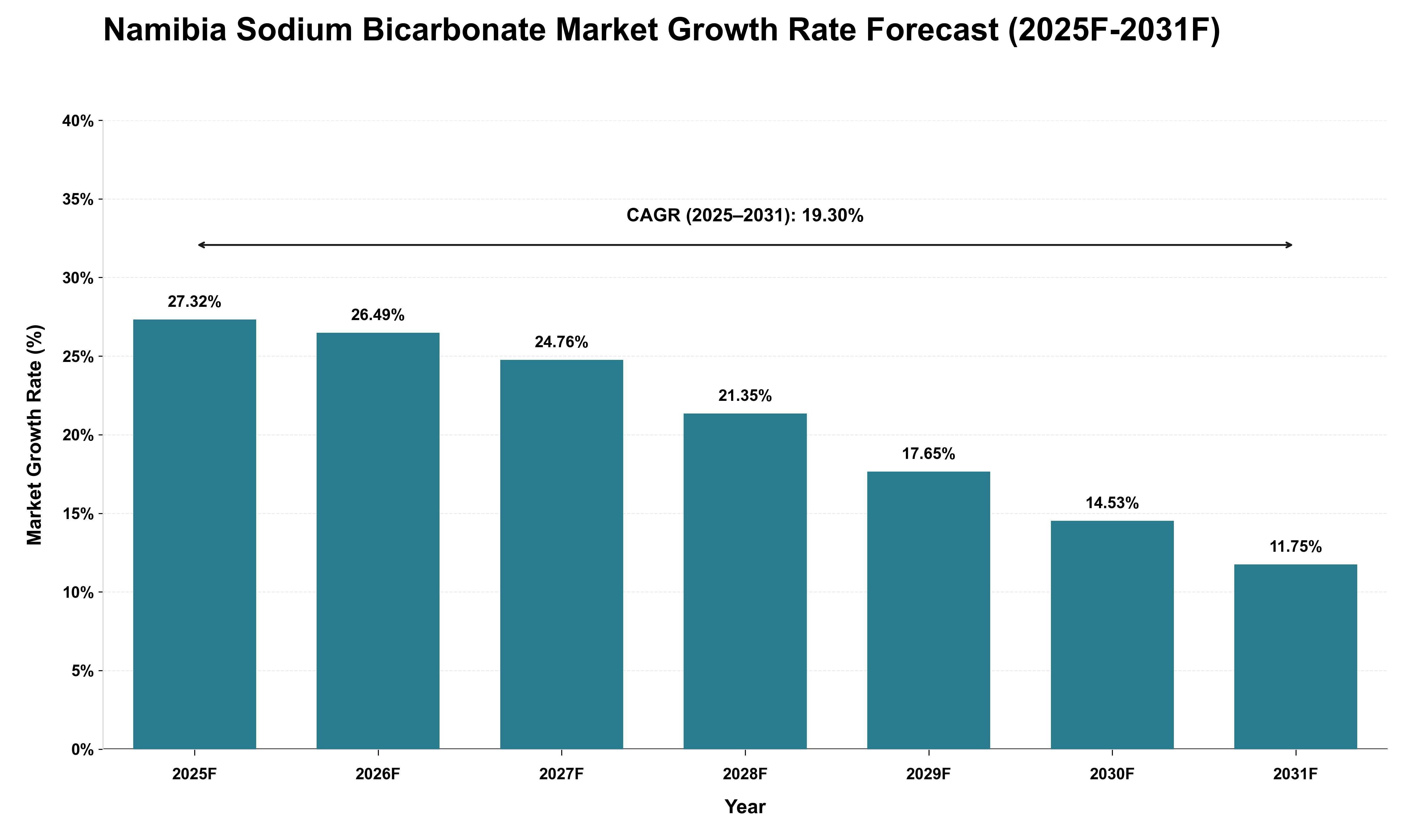 Namibia Sodium Bicarbonate Market Growth Rate Analysis (2025 - 2031)