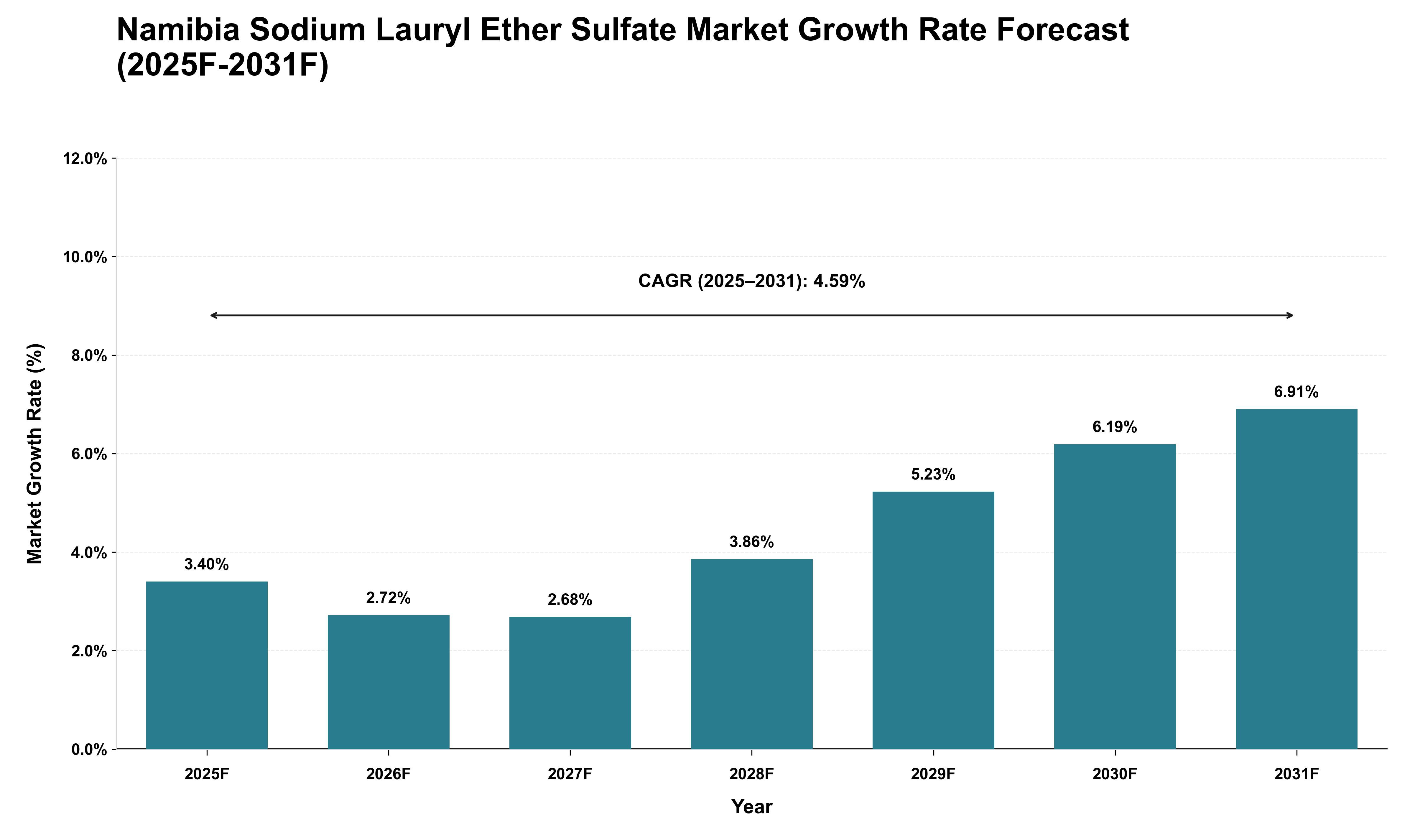 Namibia Sodium Lauryl Ether Sulfate Market Growth Rate Analysis (2025 - 2031)